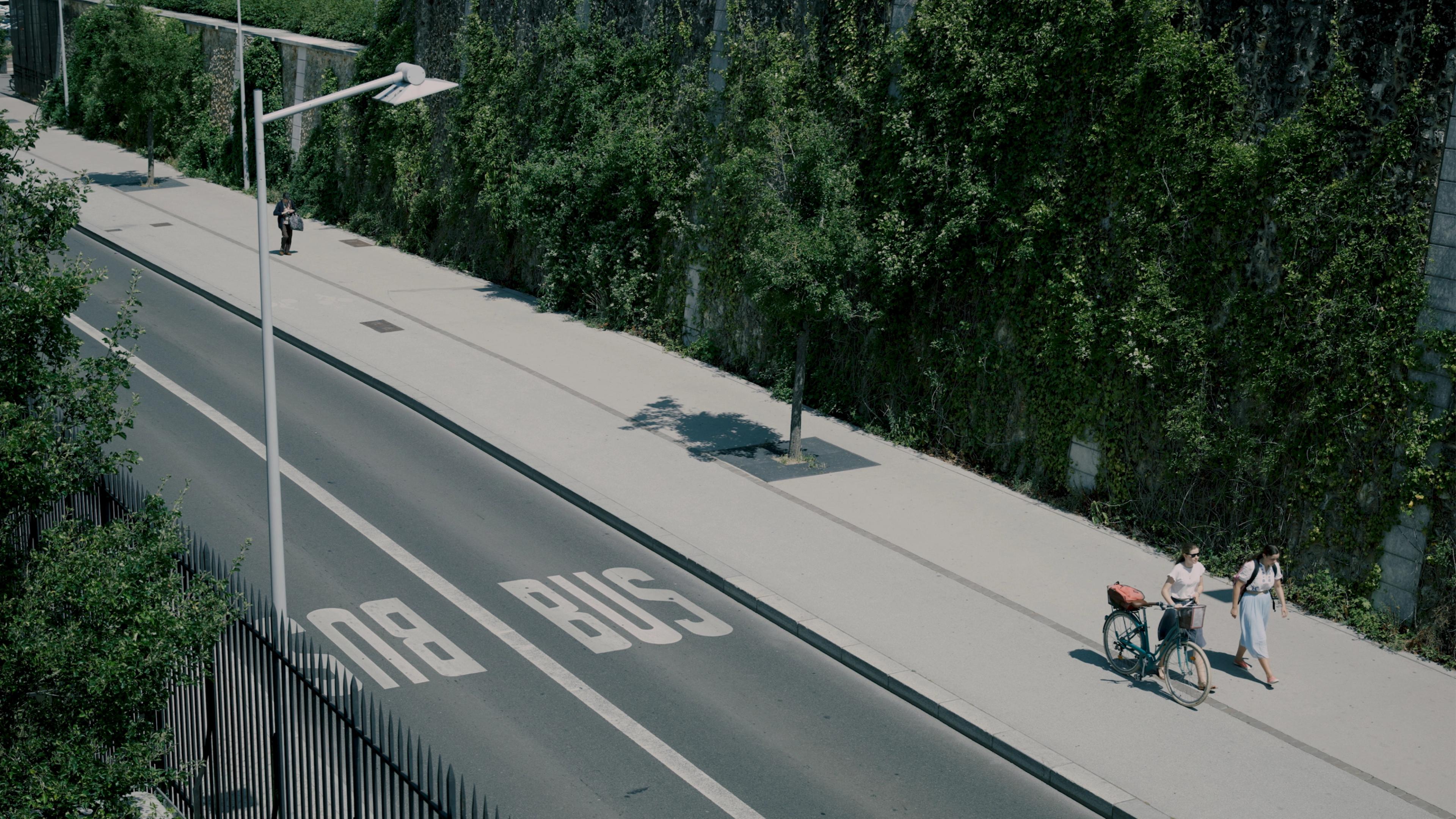 Wide street view with two women walking on the sidewalk. One is pushing a bike, as green trees align their paths.