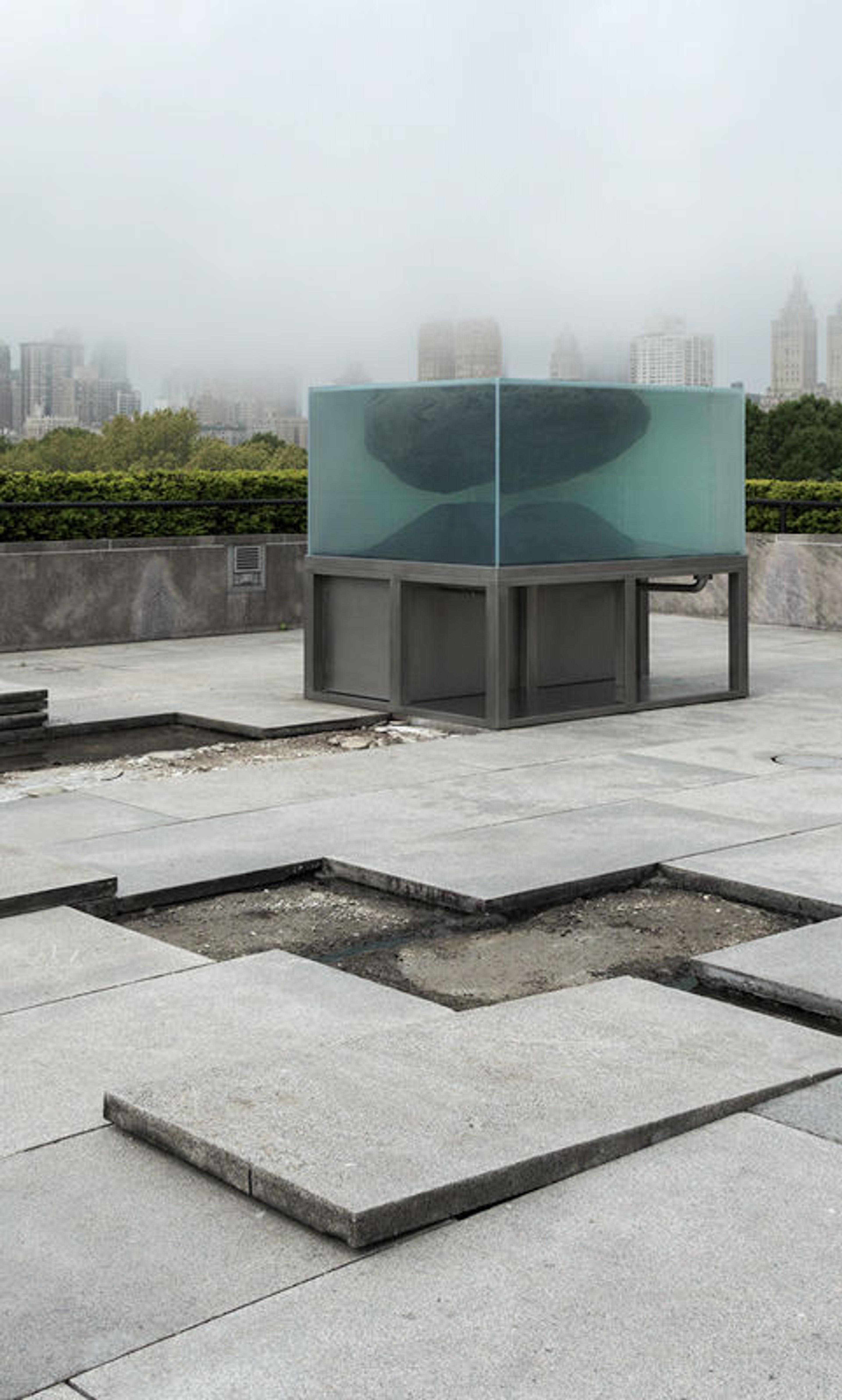 Pierre Huyghe installation