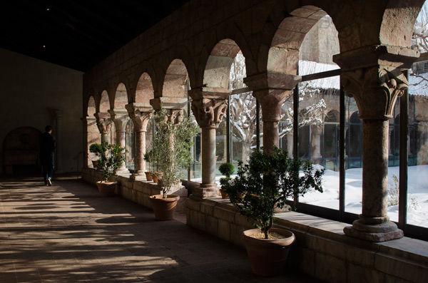 The citrus plants inside the Cuxa Cloister lean toward the sunlight