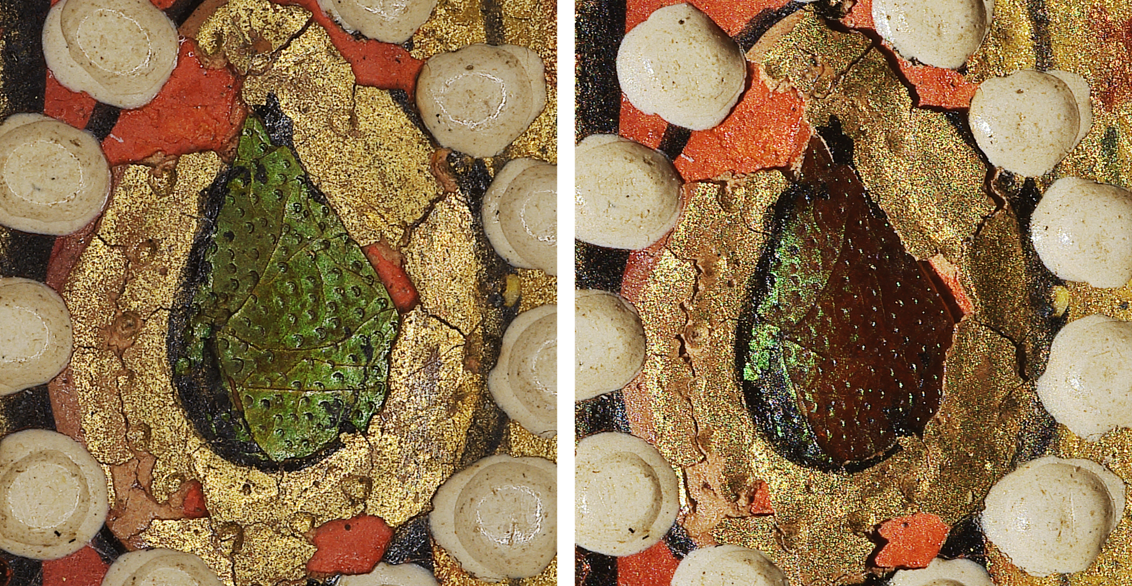 Diptych showing a closeup of a beetle-wing case in different lighting. The left image appears green, while the right appears red.
