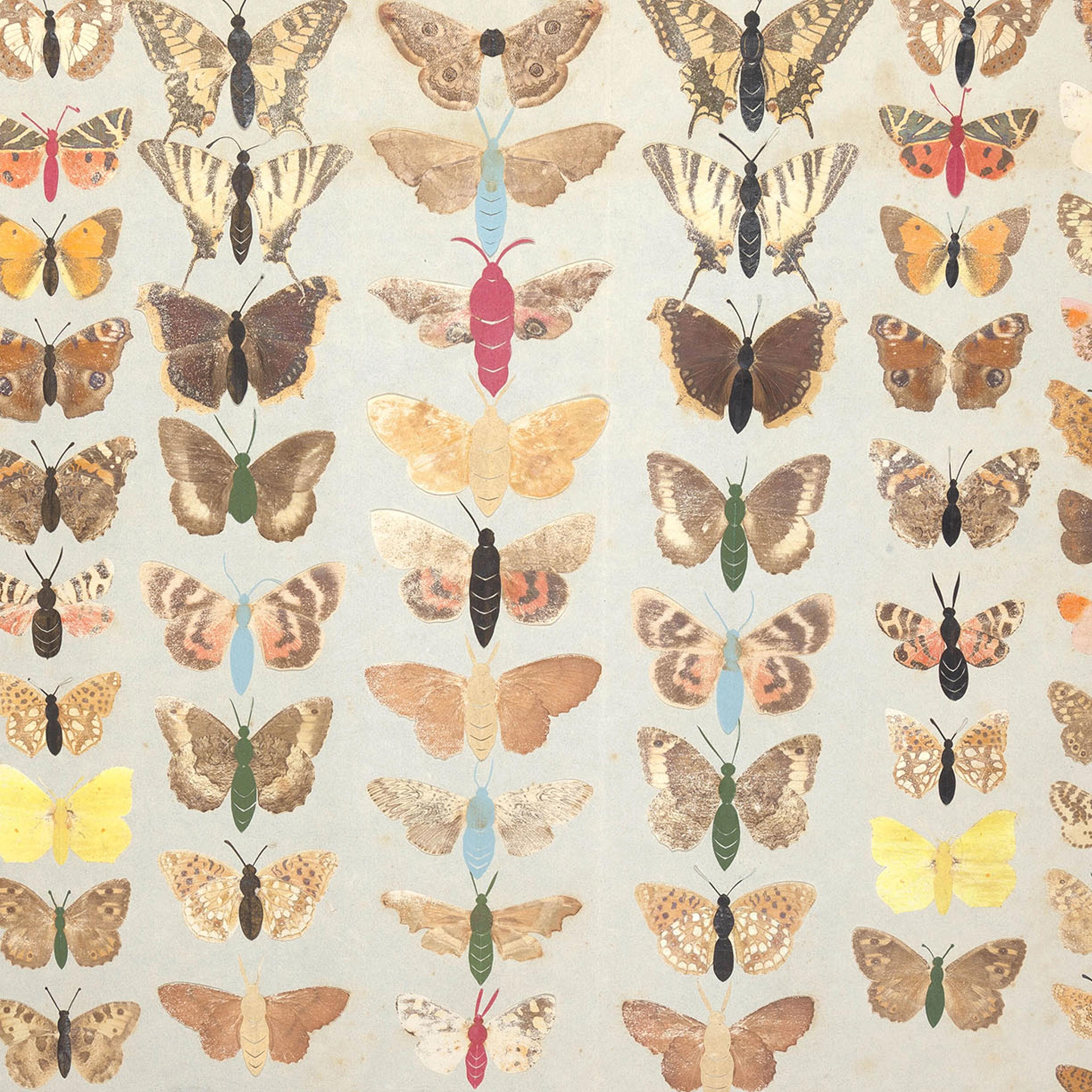 A set of printed colorful butterflies.