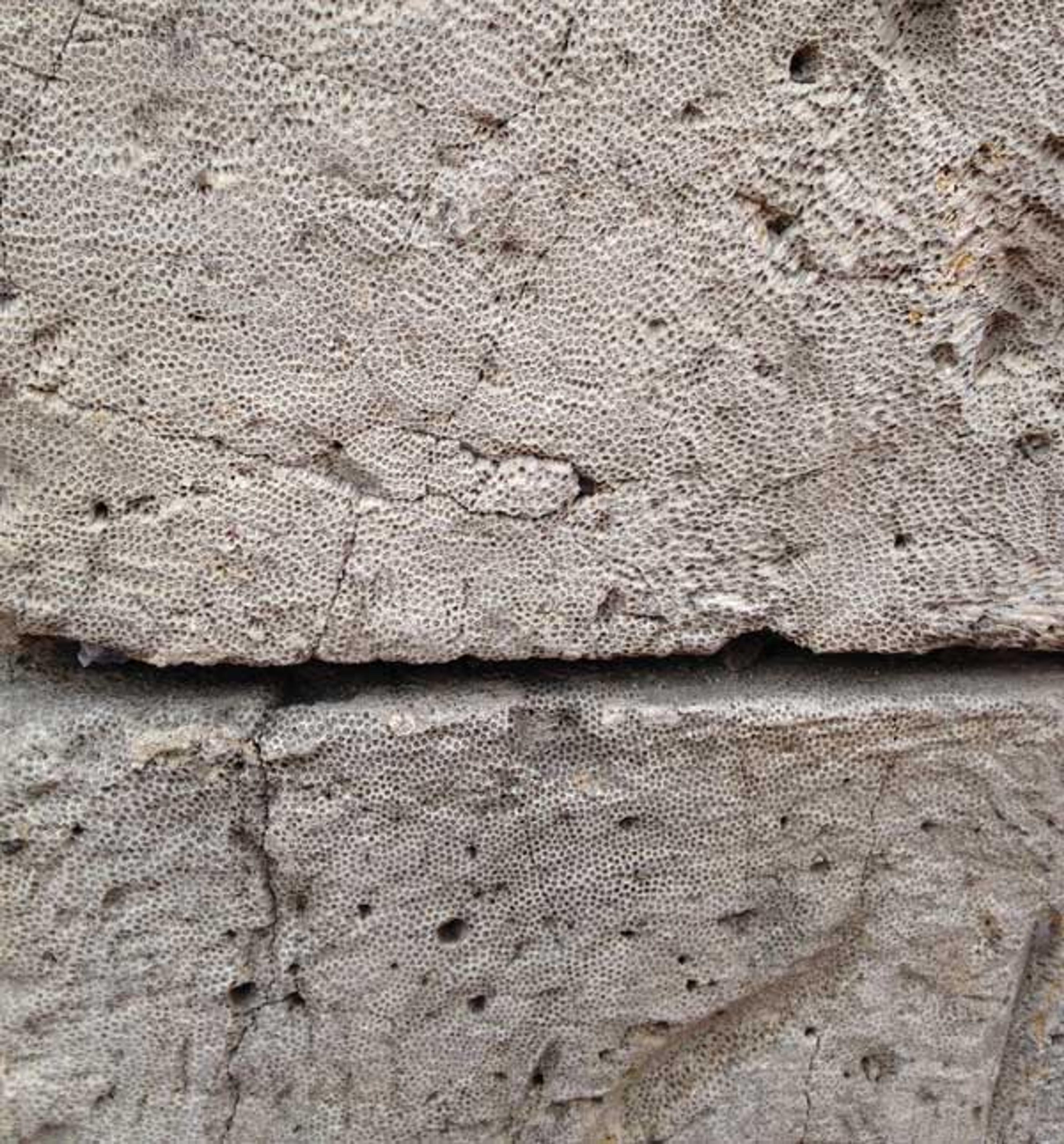 The Jewels of Colombia and Panama