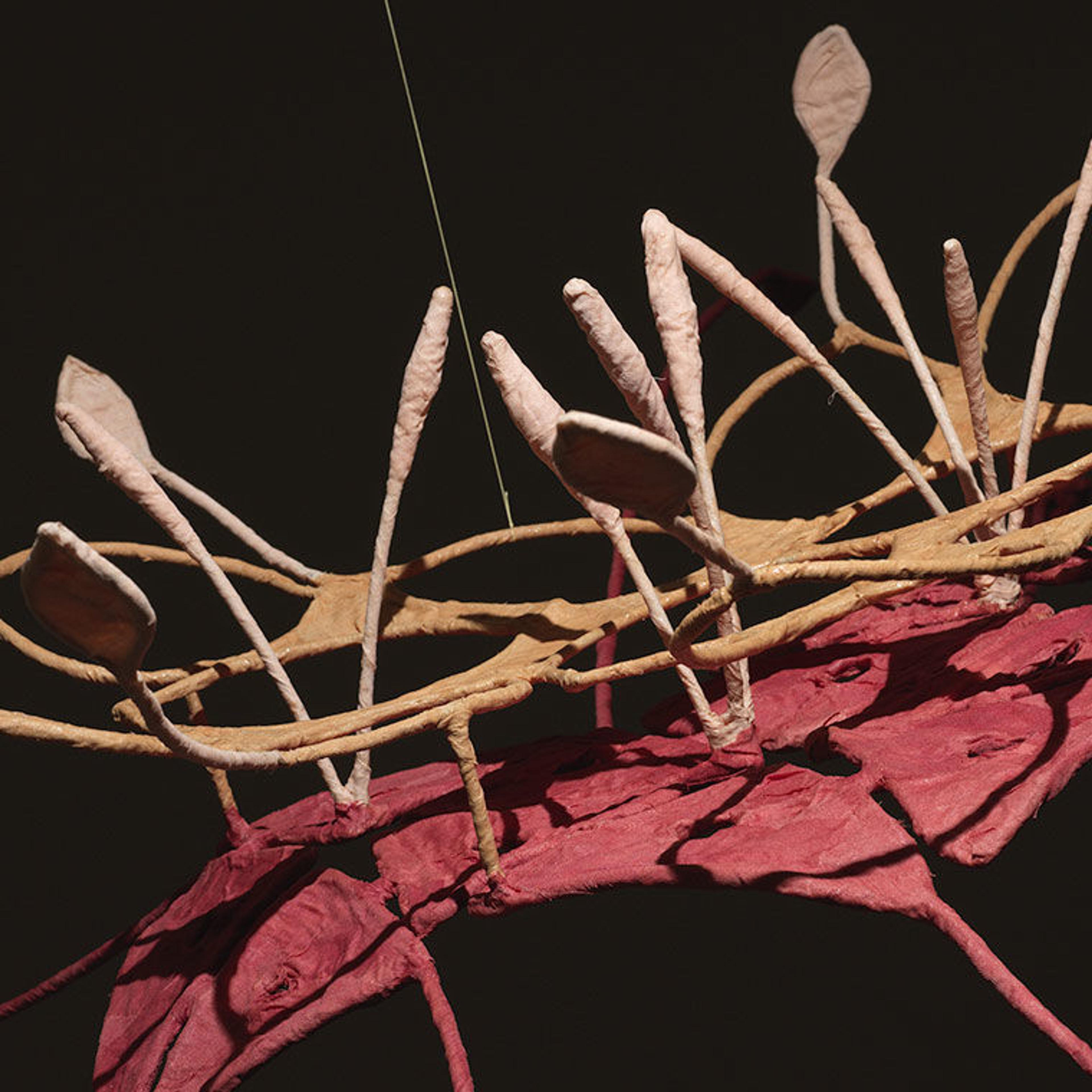 Detail of Ranjani Shettar's installation Seven ponds and a few raindrops