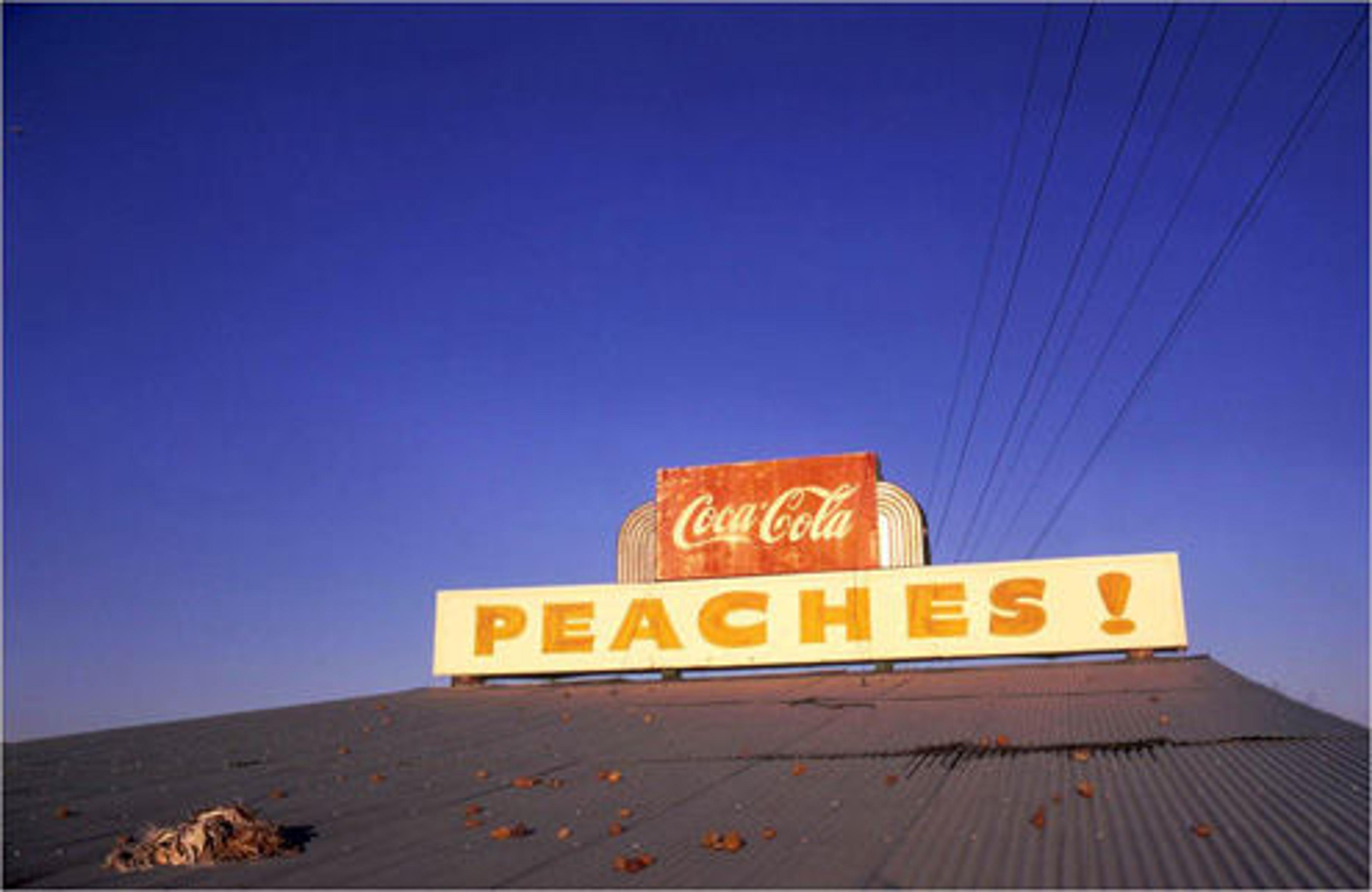 At War with the Obvious: Photographs by William Eggleston