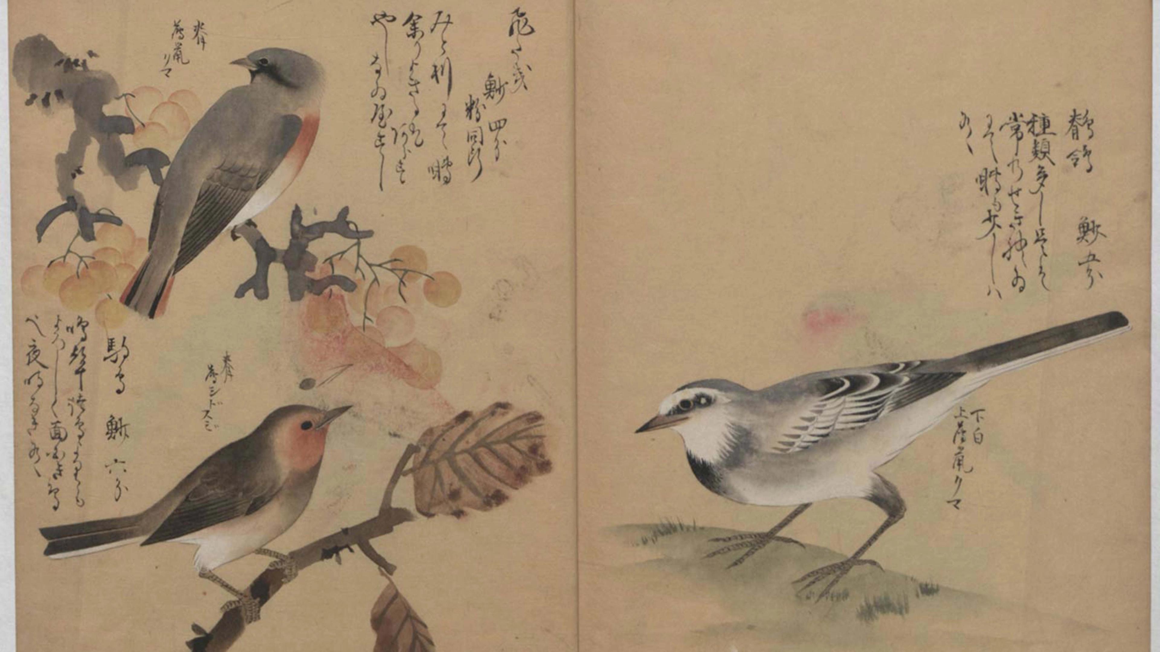 A traditional Japanese painting of three birds: two perched among branches with orange berries on the left page, and one standing on the ground on the right, with handwritten Japanese text beside each bird