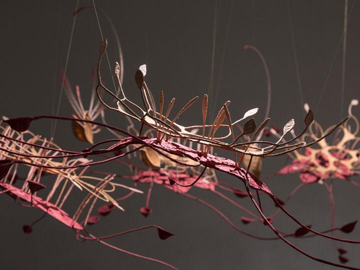 Ranjani Shettar's Seven ponds and a few raindrops