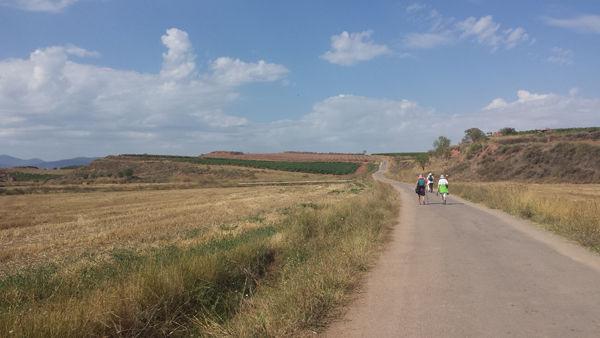 Members of the group on a four-mile walk to Azofra