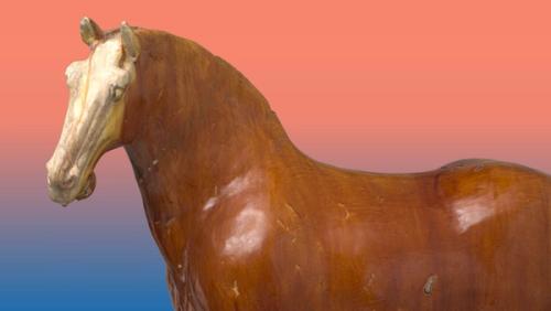 Image for Celebrating the Year of the Horse