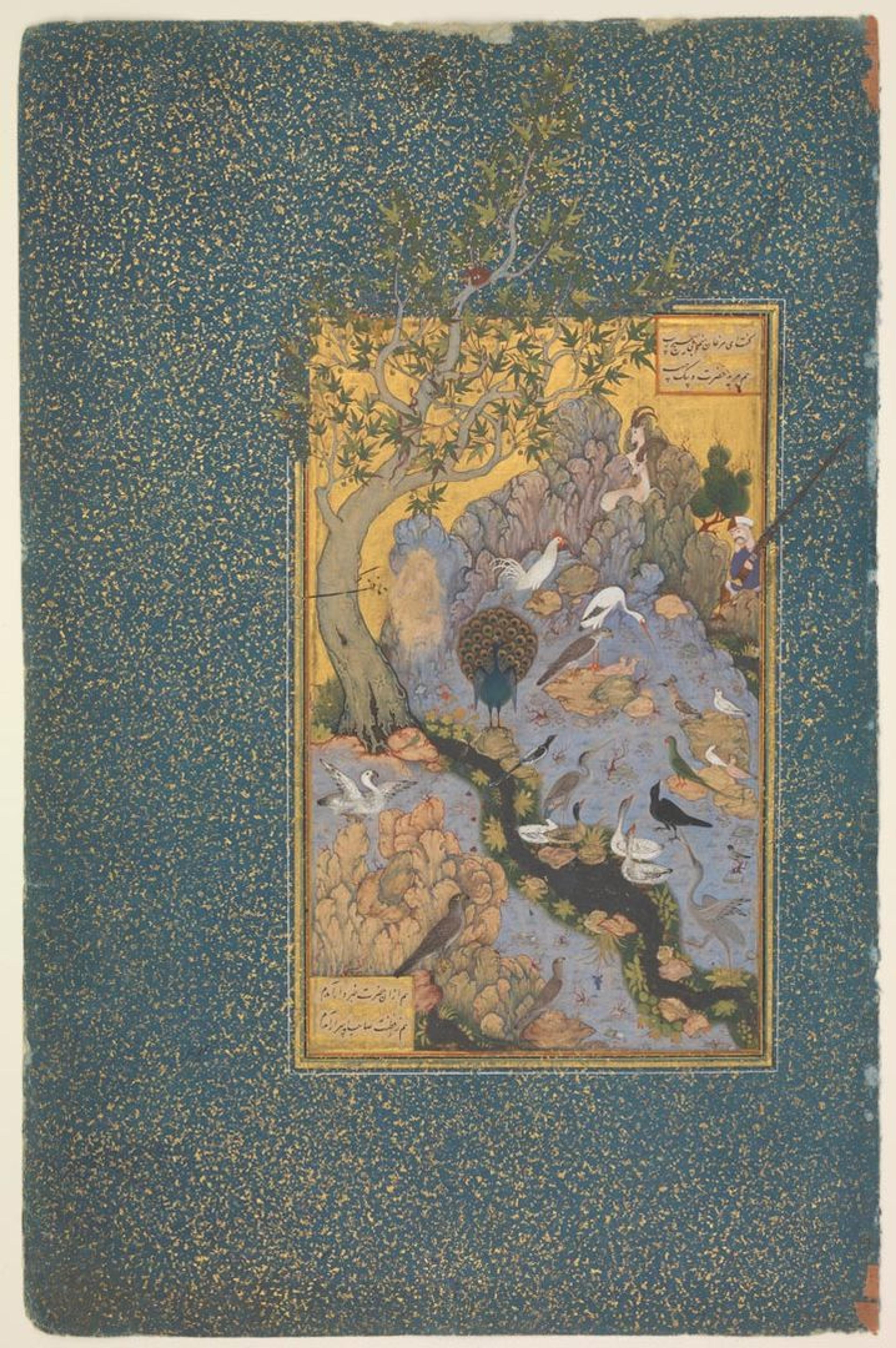 Early 17th-century Iranian work on paper depicting a group of birds
