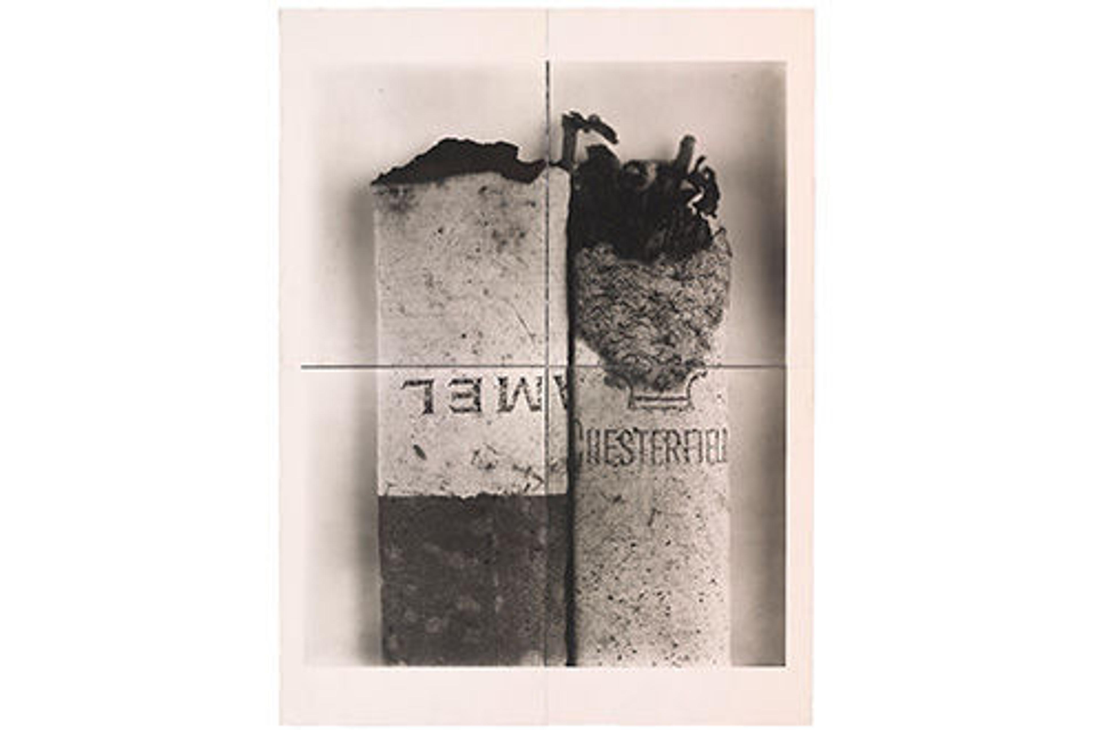 Irving Penn Centennial Exhibition