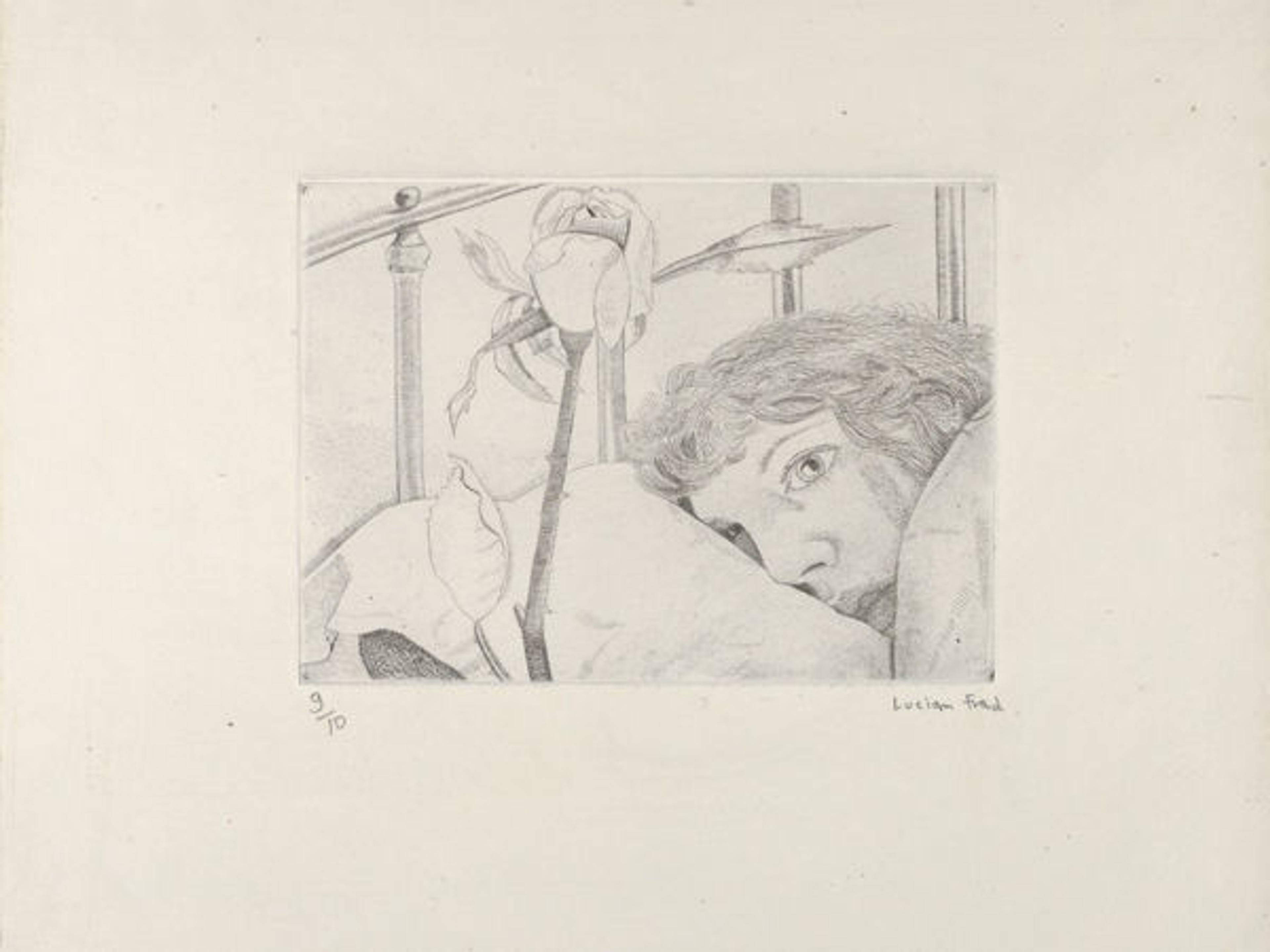 Lucian Freud, (British [born Germany], 1922–2011). Ill in Paris, 1948. Etching; plate: 5 1/8 x 7 in. (13 x 17.8 cm), sheet: 10 3/4 x 13 in (27.3 x 33 cm), The Metropolitan Museum of Art, New York, Bequest of William S. Lieberman (2005 2007.49.613)