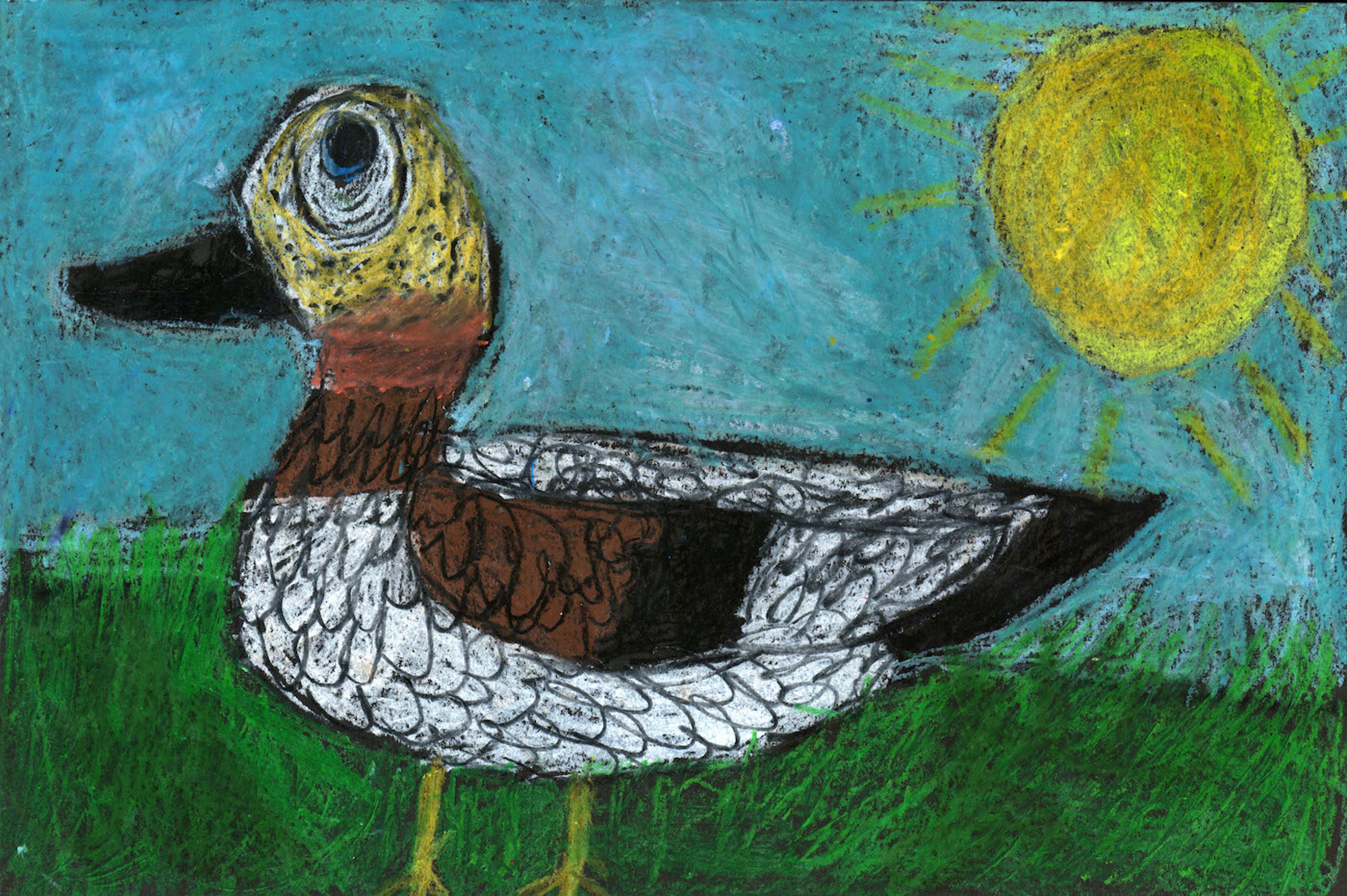 Oil pastel illustration of a duck shown in profile facing left. It stands on green grass under a blue sky with a yellow sun at top right. The duck has a black bill, yellow legs, brown wings, a white body, a black tail, an orange and brown ring around its neck, and a yellow head. The duck's left eye is pointed upward.