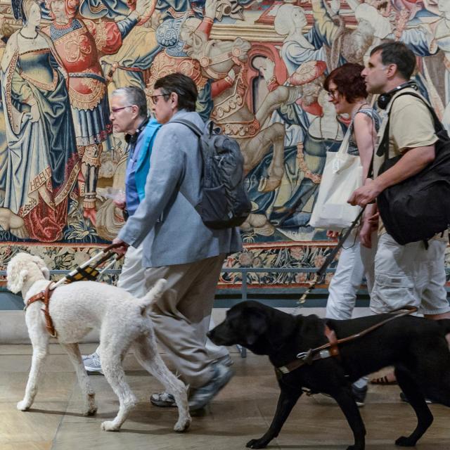 Group of visitors with disabilities walking with guide dogs in front of a large tapestry.