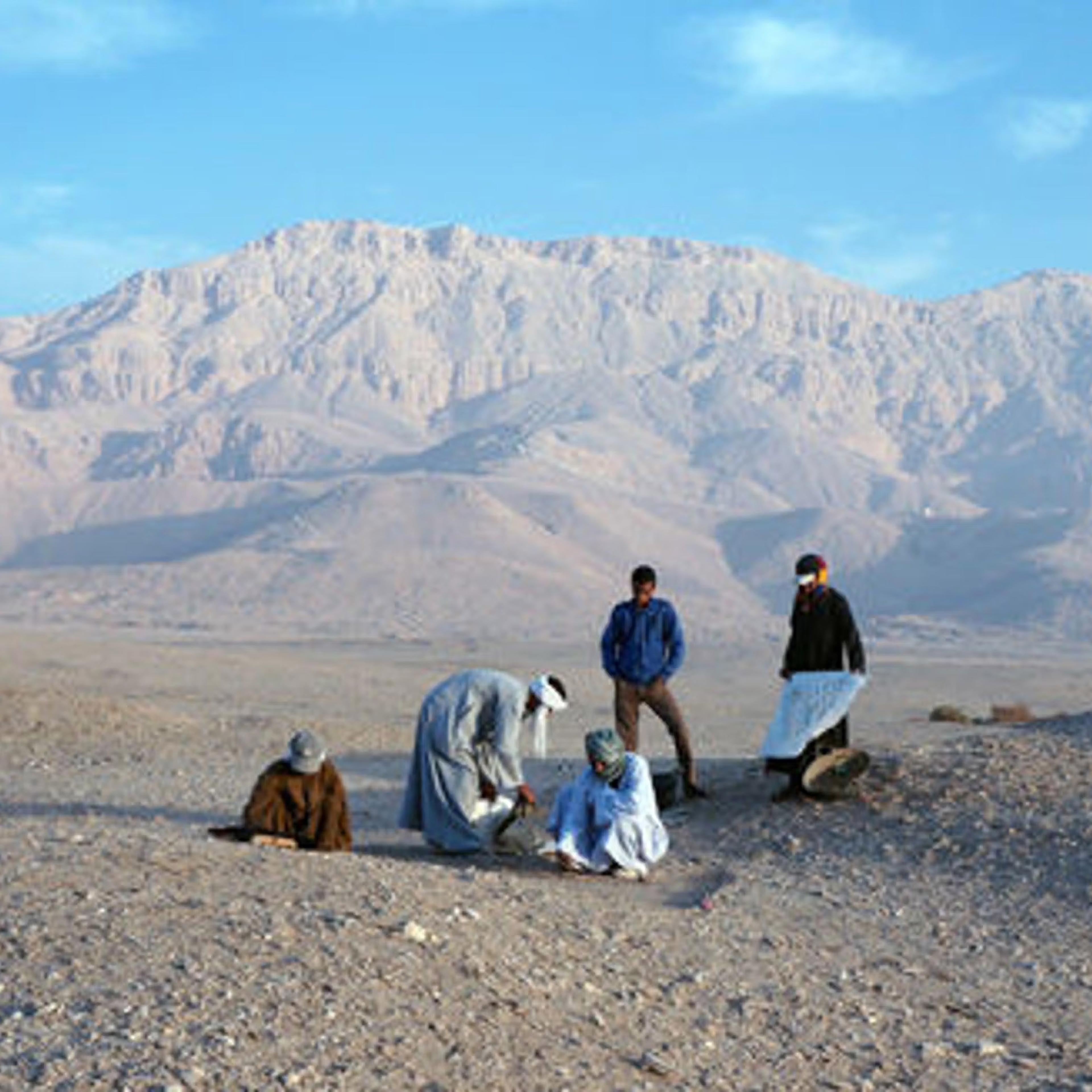 Five figures at work on an excavation site in the desert with mountains in the distance.