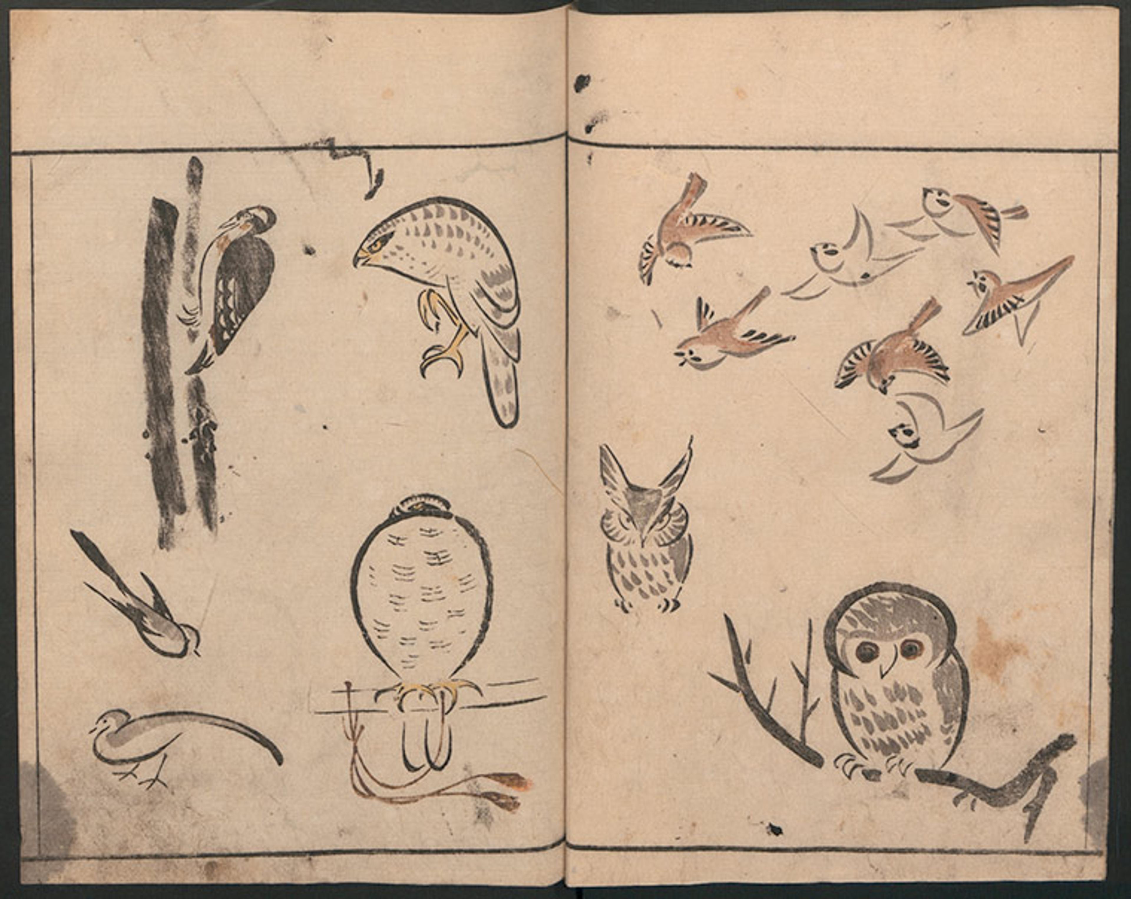 japanese illustrated book illustration