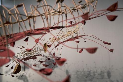 Ranjani Shettar: Seven ponds and a few raindrops