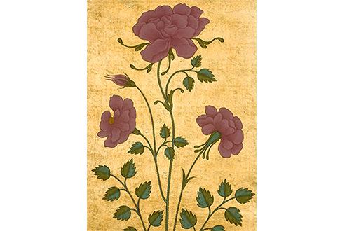 Senses of Springtime