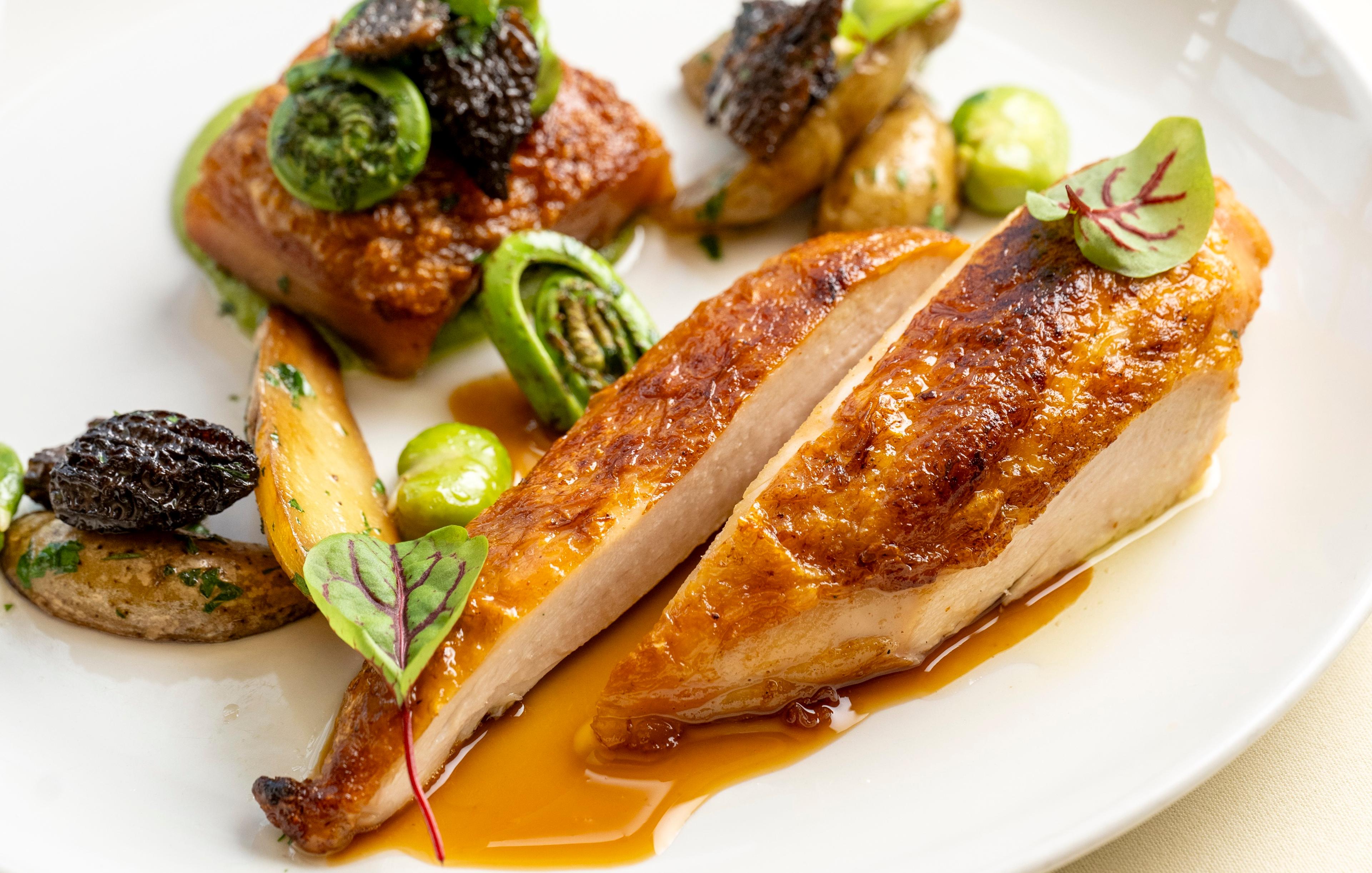 Chicken on a white plate.