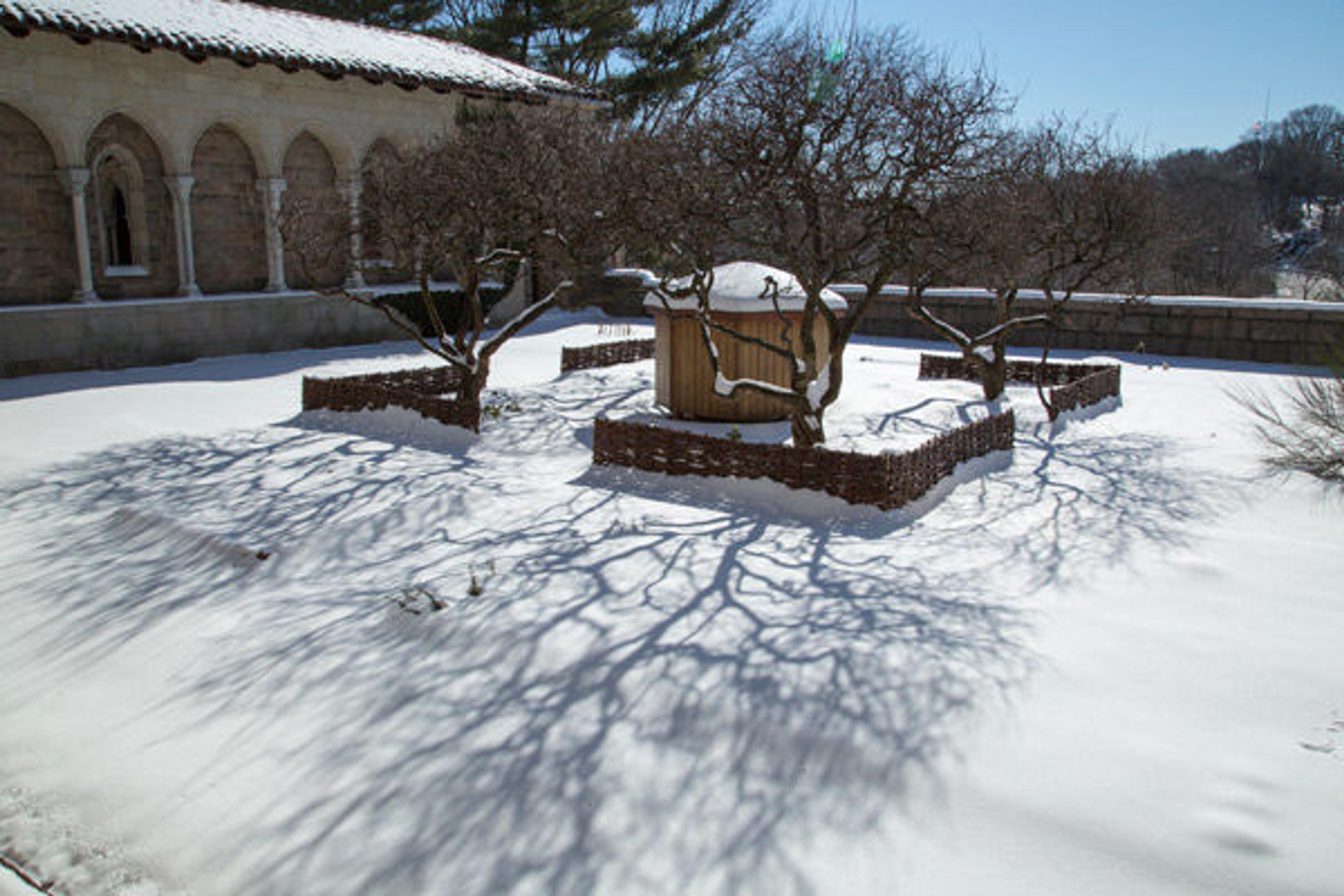 The trees cast shadows in the snow in the Bonnefont Cloister