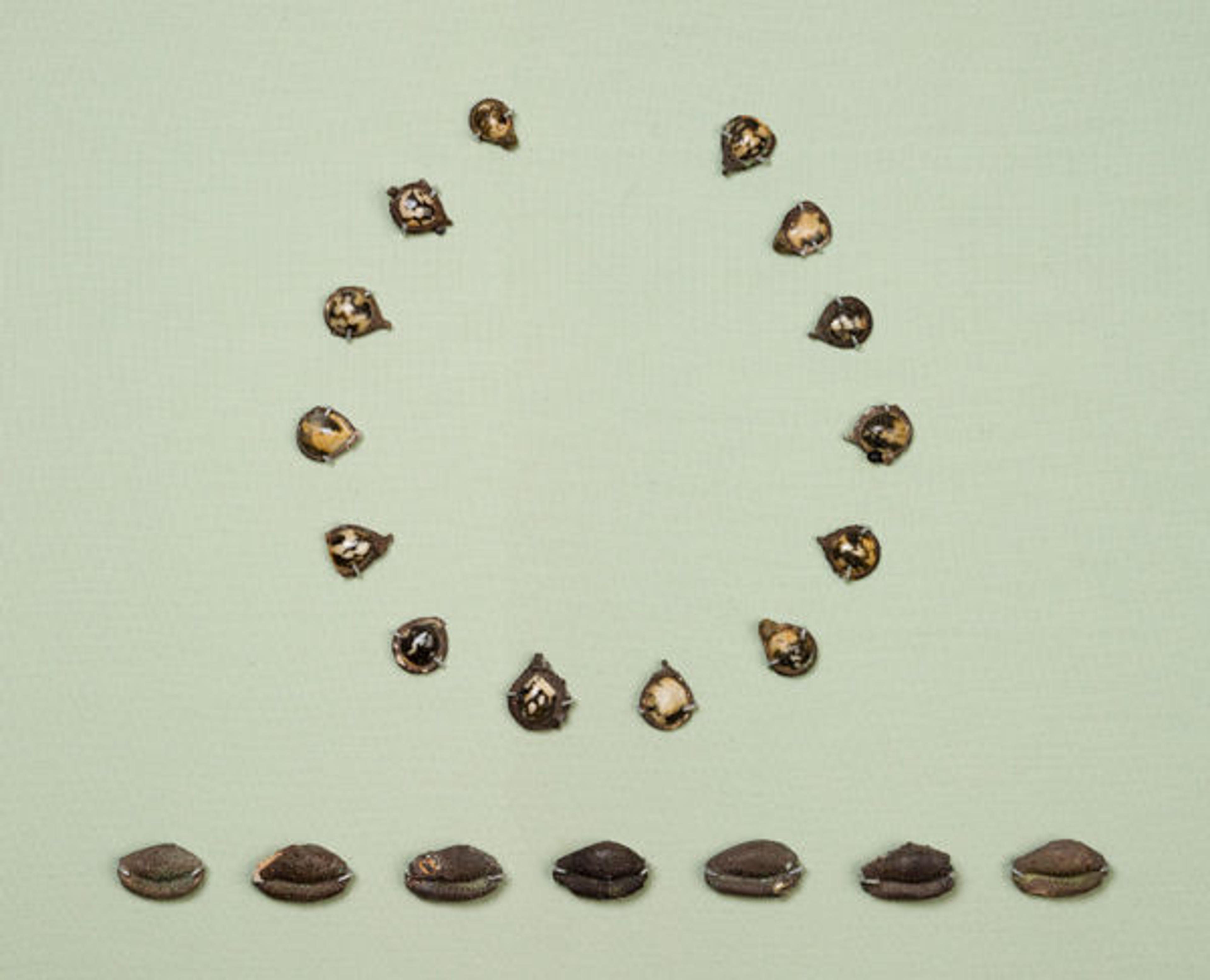 Fourteen pendants for a necklace (top) and seven beads in the shape of cowrie shells (bottom)