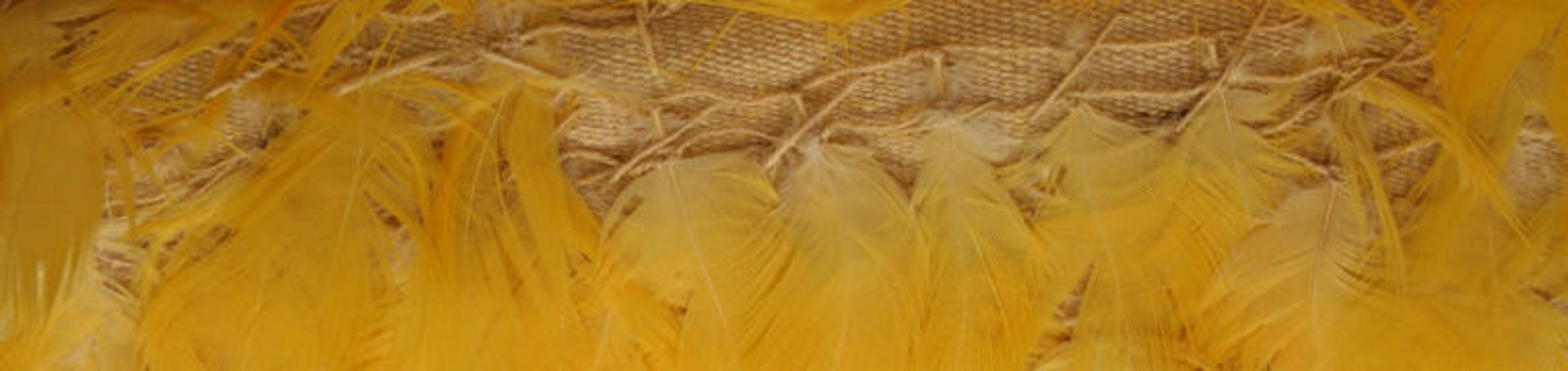 Yellow feathers attached to a textile backing using string