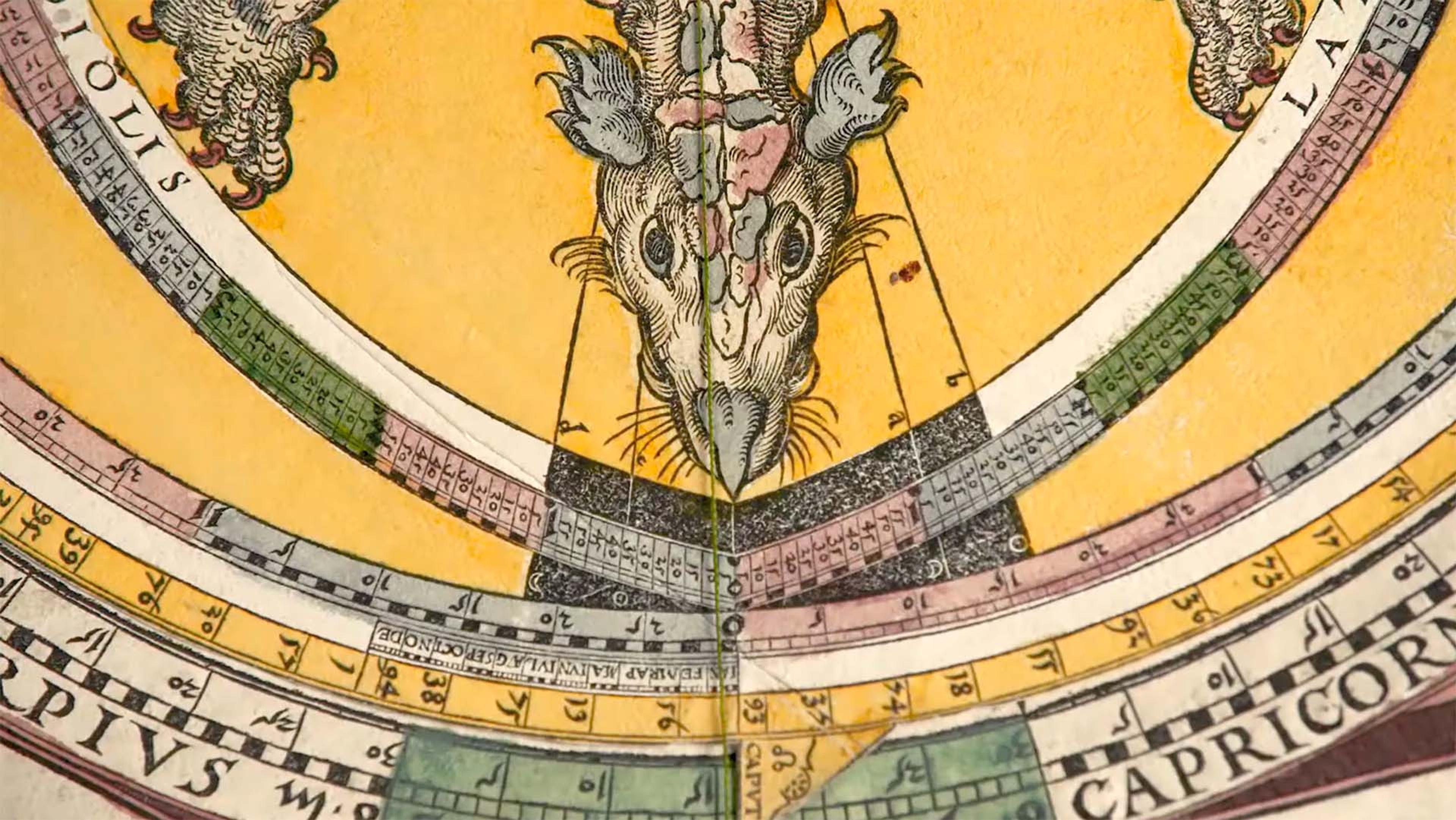 Detail of the Astronomicum Caesareum