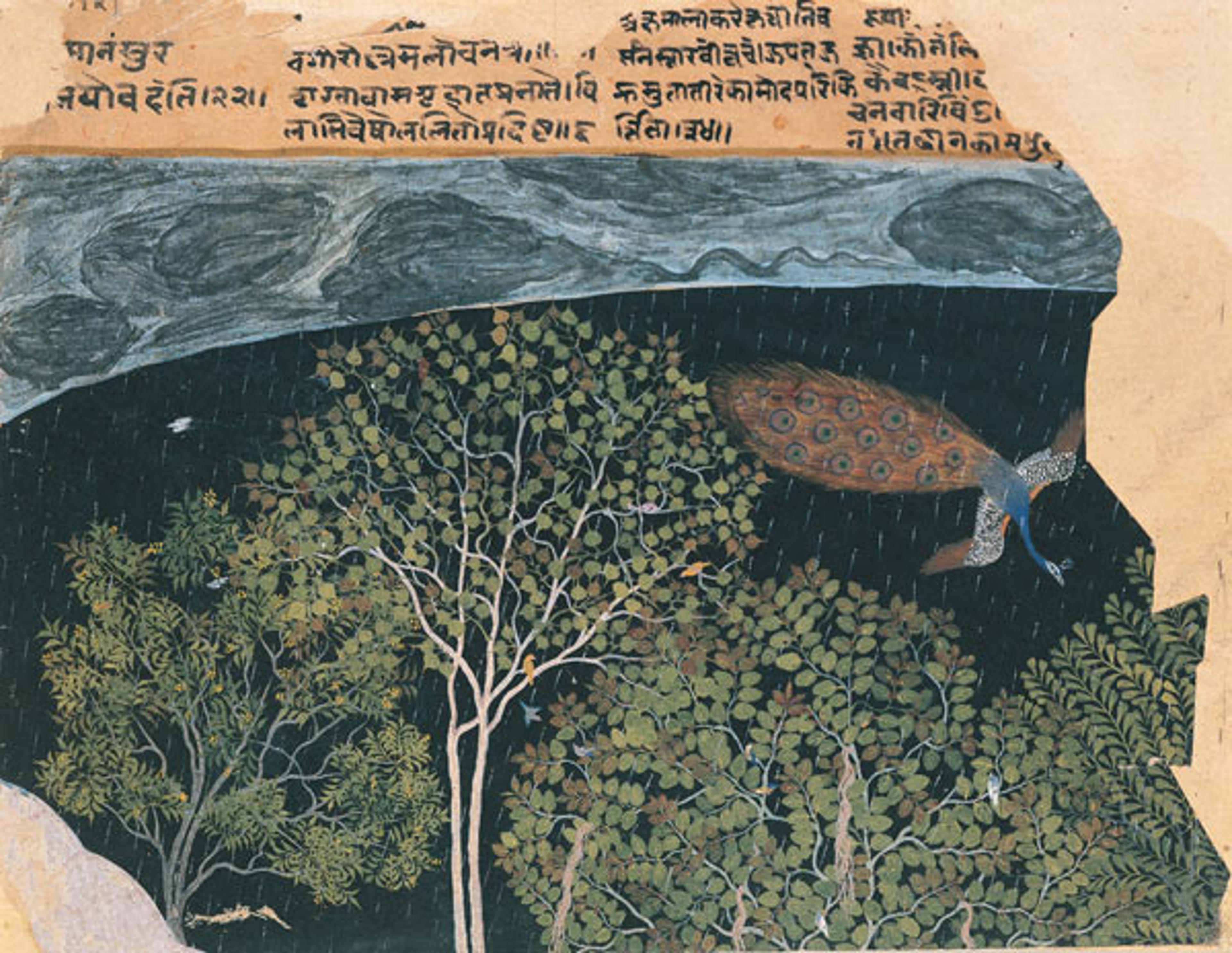Peacock in a Rainstorm at Night, late 16th century. India, Northern Deccan. Non-Islamic, Hindu. Ink, opaque watercolor, and gold on paper; 6 1/8 x 7 1/2 in. (15.5 x 19 cm). Private Collection, London