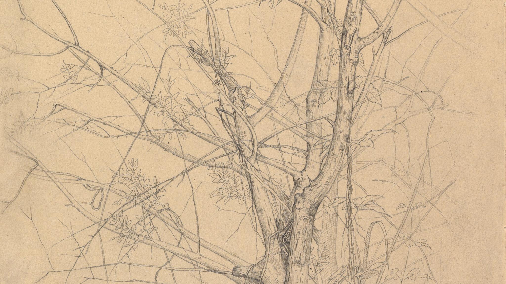 Metalpoint - The Metropolitan Museum of Art