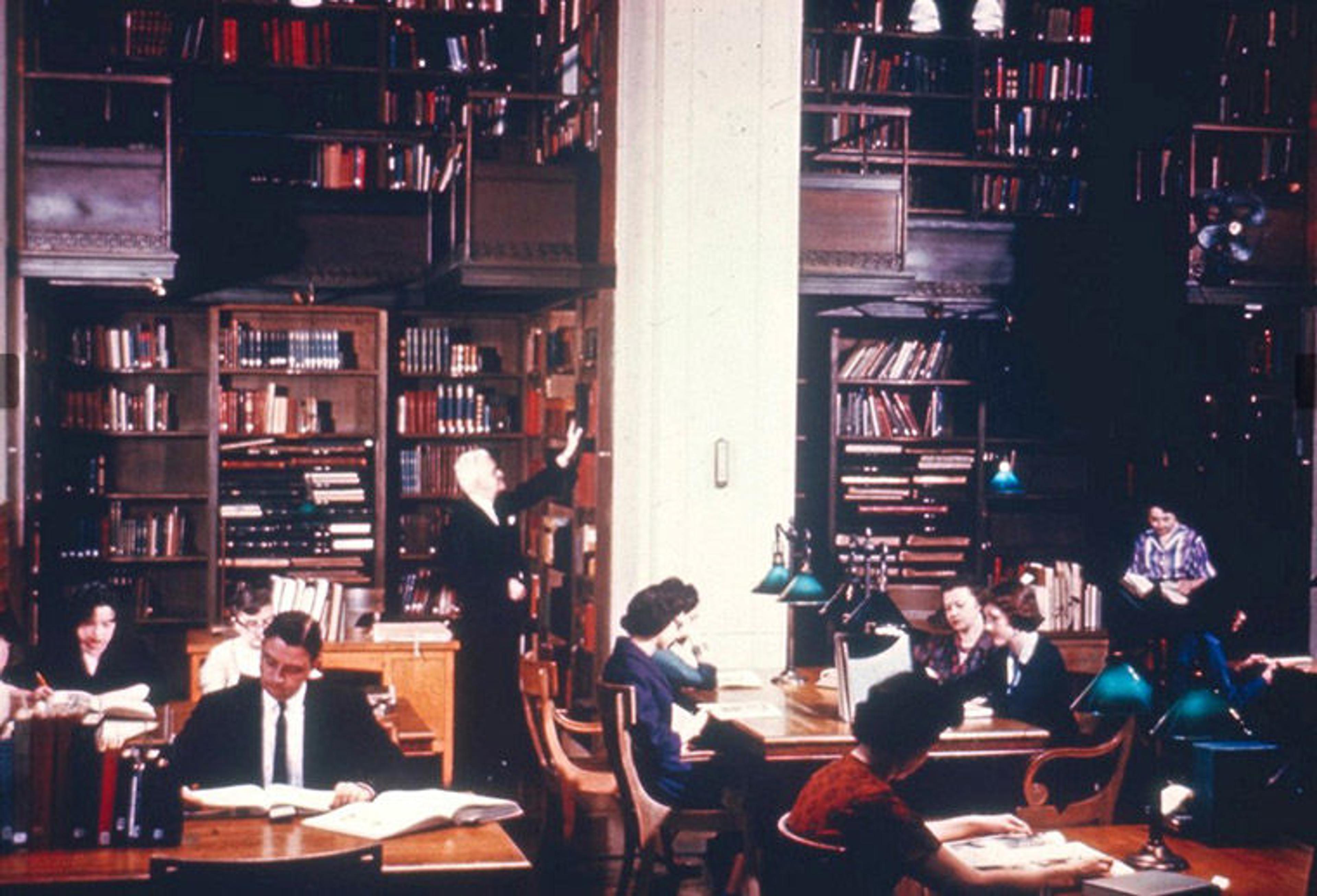 Library lane 11