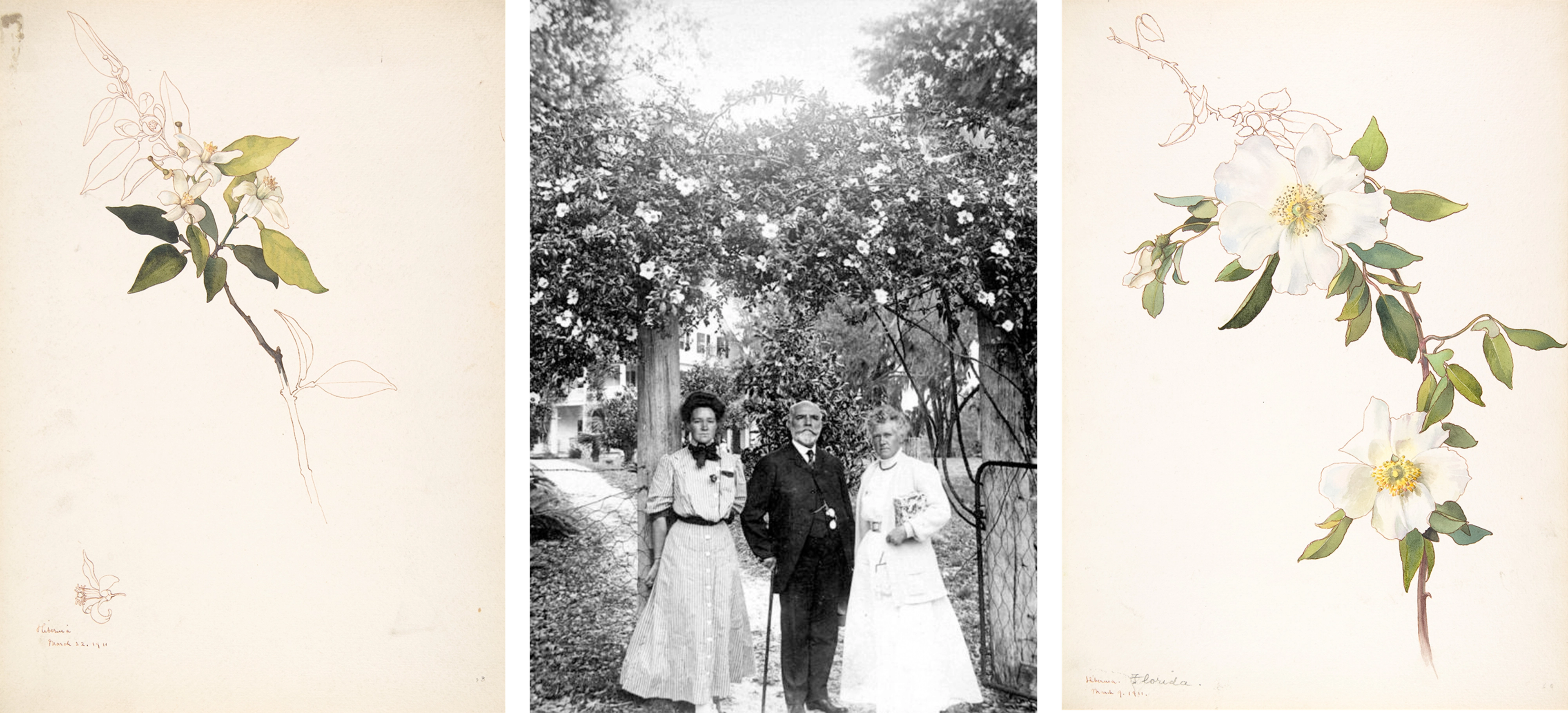 Triptych with botanical illustrations flanking a central black-and-white photo of three figures under a flowering arch.