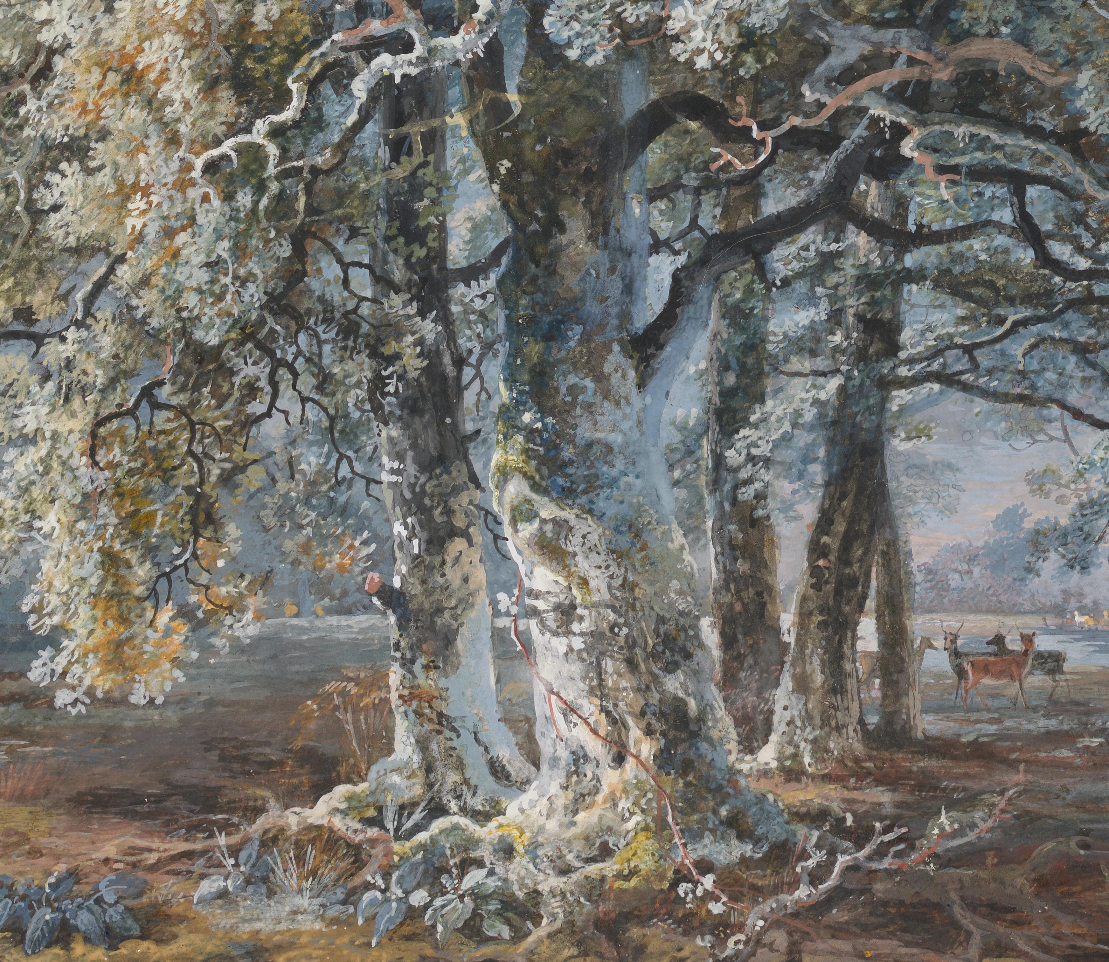 A detailed image of bare white trees in a snowy forest, rendered in watercolor.