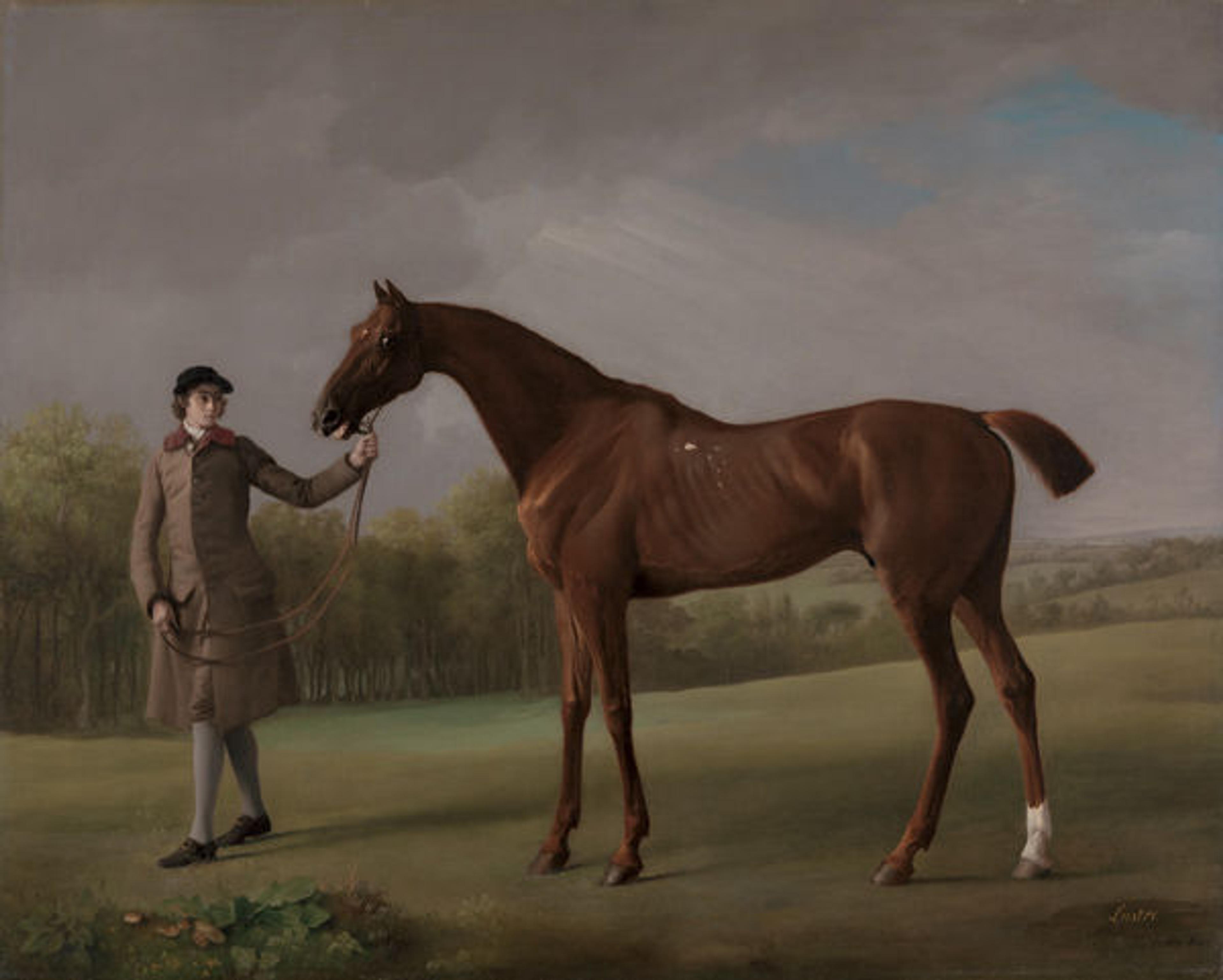 George Stubbs (British, 1724–1806). Lustre, Held by a Groom, ca. 1762. Oil on canvas; 40 1/8 in. × 50 in. (101.9 × 127 cm). Yale Center for British Art, Paul Mellon Collection