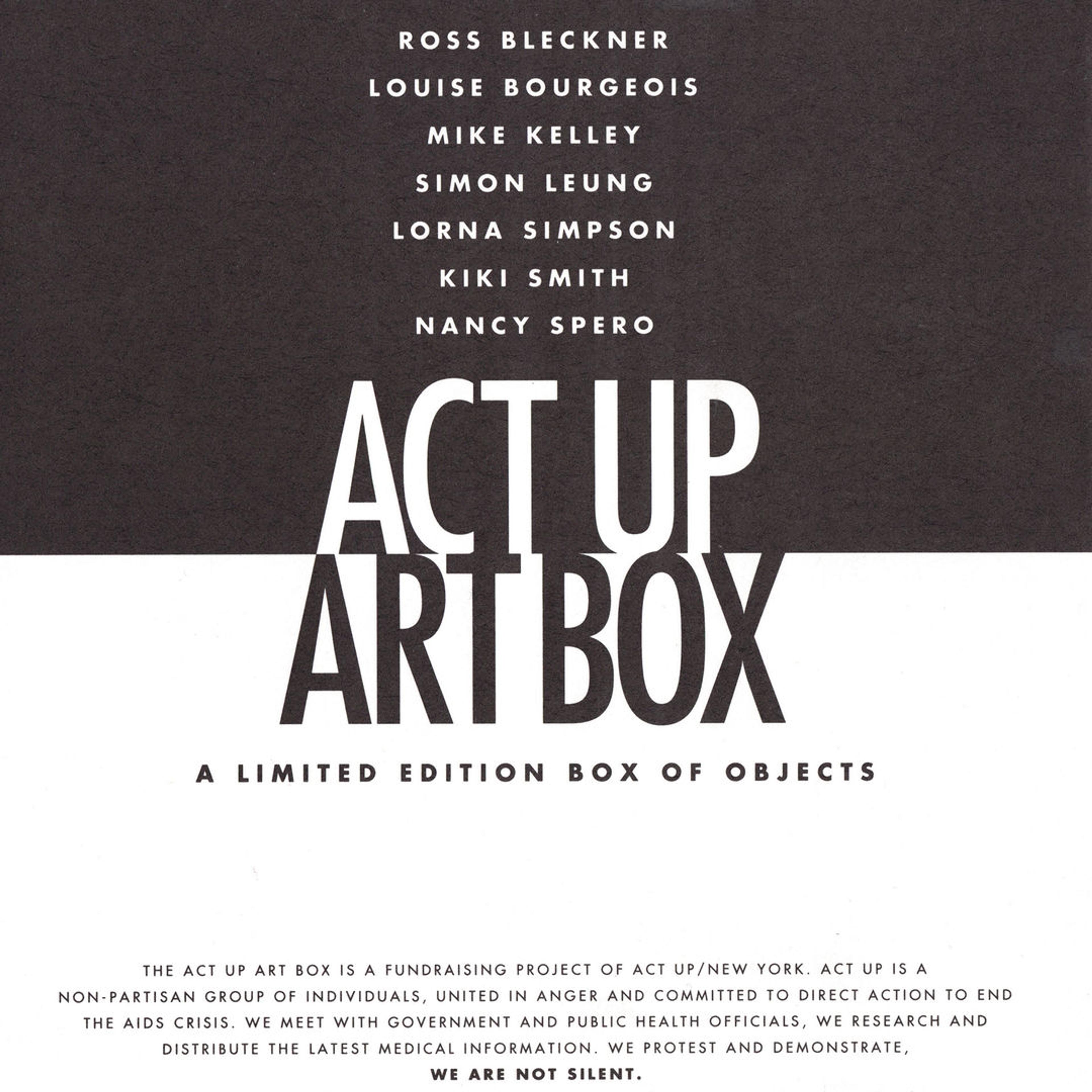 Detail of the pamphlet for the Act Up Art Box with the text "A limited edition box of objects"