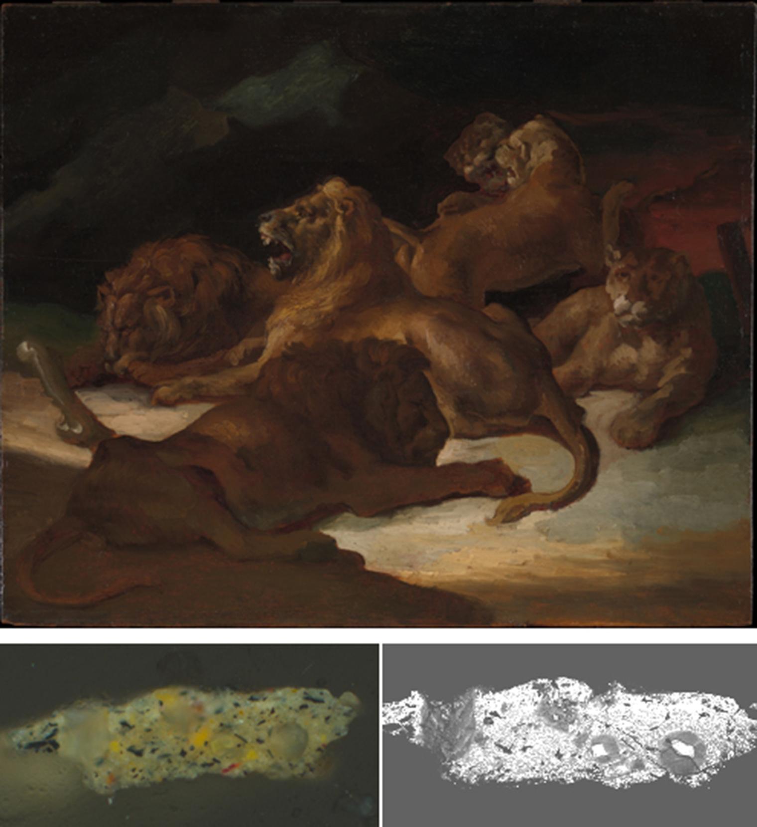 Composite image. Top: Théodore Gericault's Lions in a Mountainous Landscape. Bottom: Photomicrograph and scanning electron microscope image.