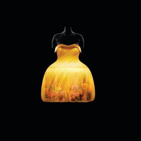 A short dress against a blank background with flowers and butterflies lit within the skirt