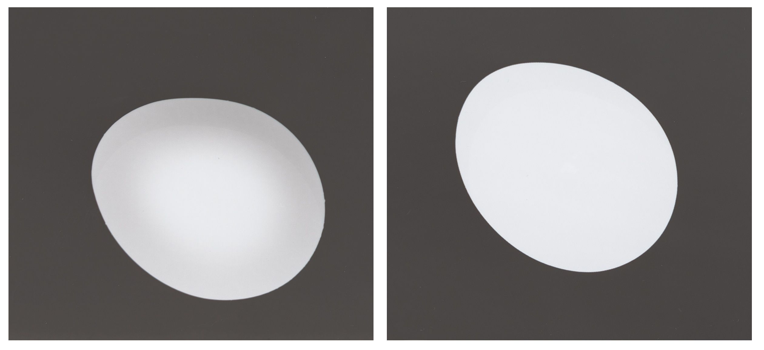 Two black and white photograms side by side, each depicting a slightly different egg shape.