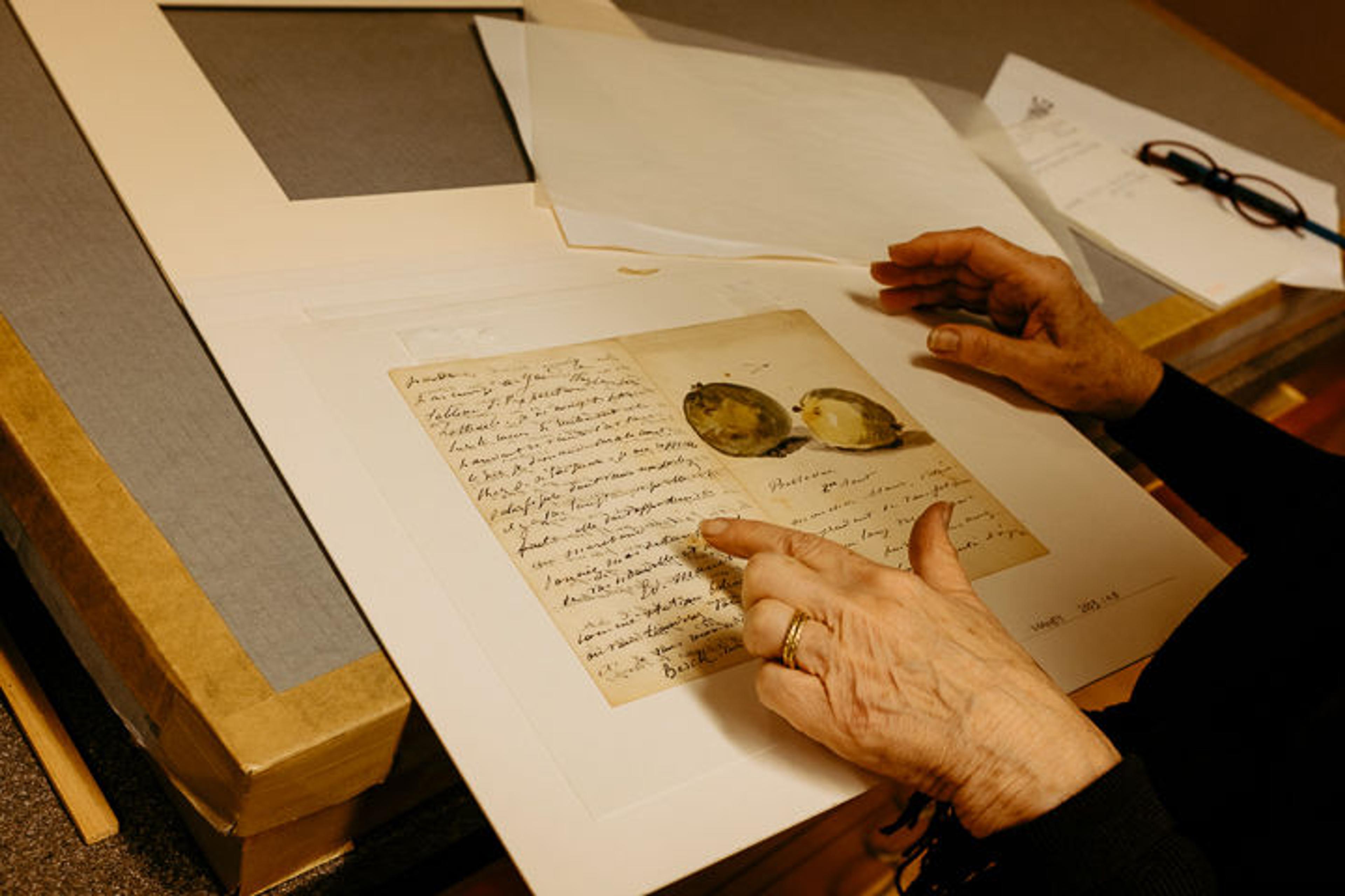 The Paper Conservation Department at The Metropolitan Museum of Art