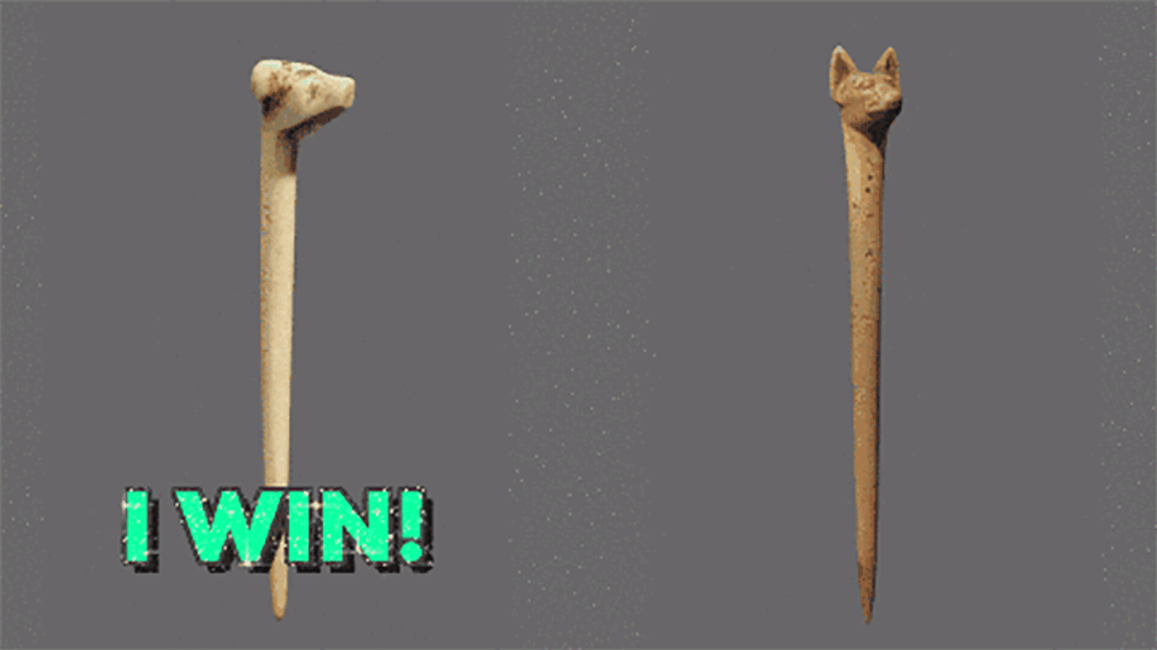 Two sticks with animal heads, one resembling a dog and the other a jackal, with the text 'I win. No I win!' moving in front of one stick and then the other.