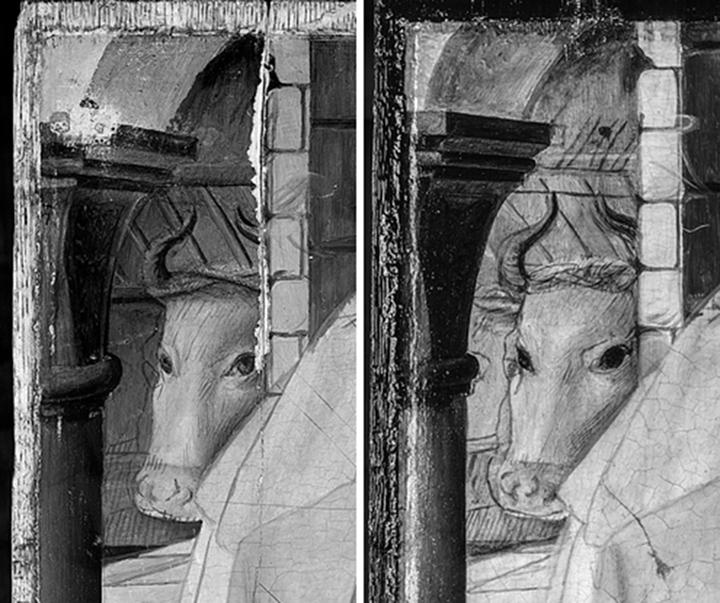 Details of the ox from the infrared reflectogram of The Met panel (left) and the Copenhagen panel (right)