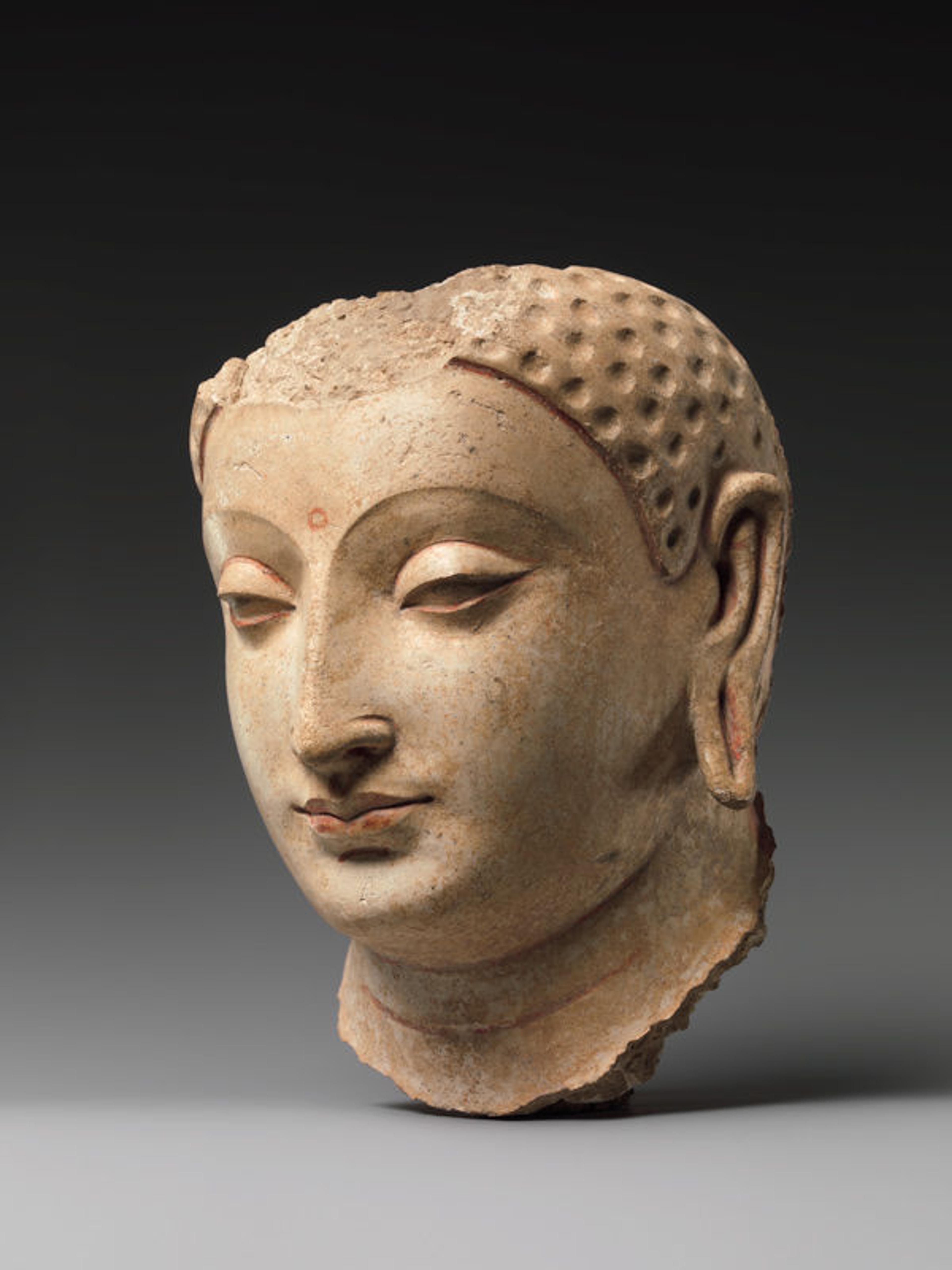 Head of Buddha, 5th–6th century | Afghanistan (probably Hadda) | The Metropolitan Museum of Art, New York, Rogers Fund, 1930 (30.32.5)