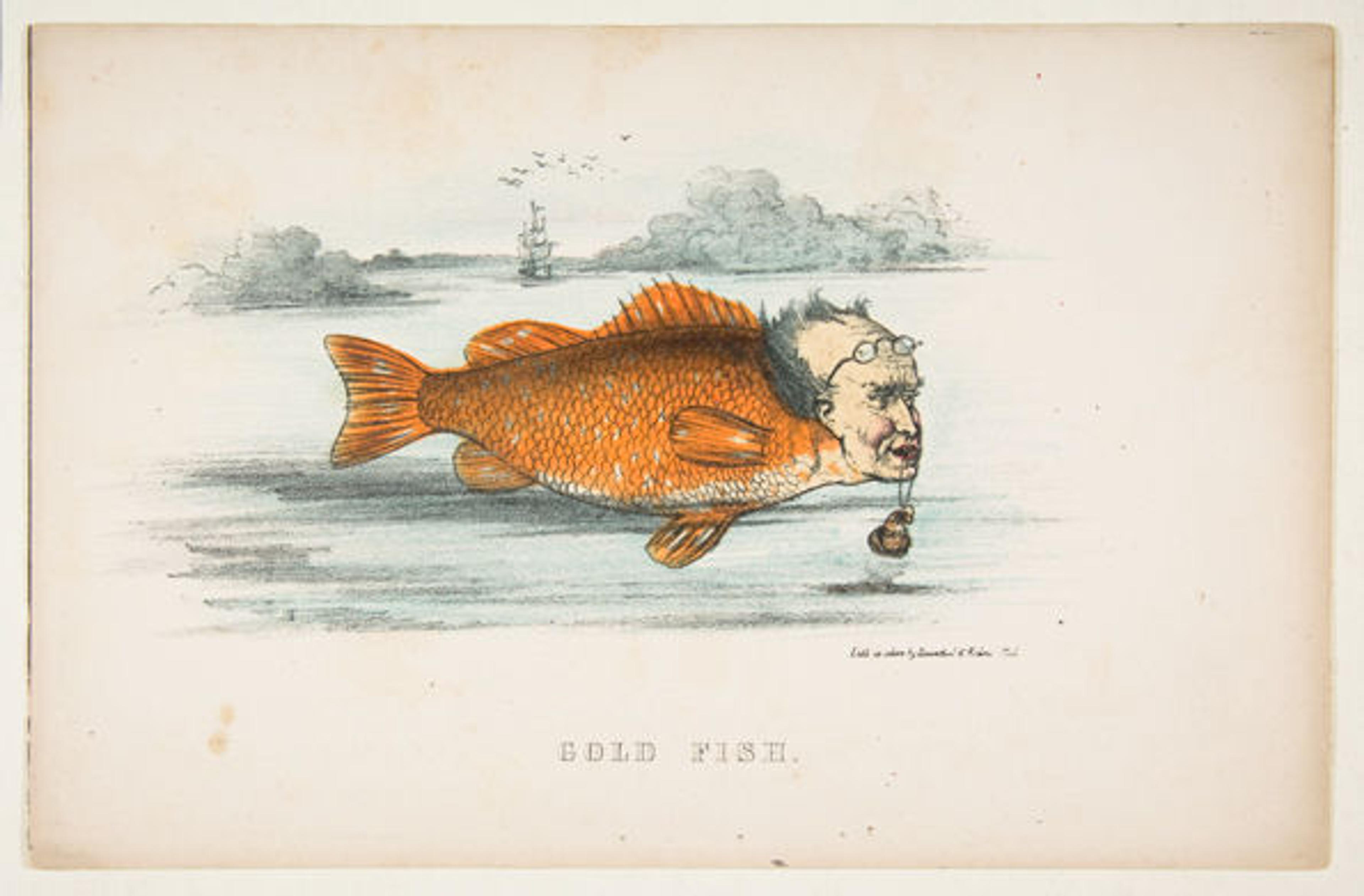 Gold Fish (Francis M. Drexel)