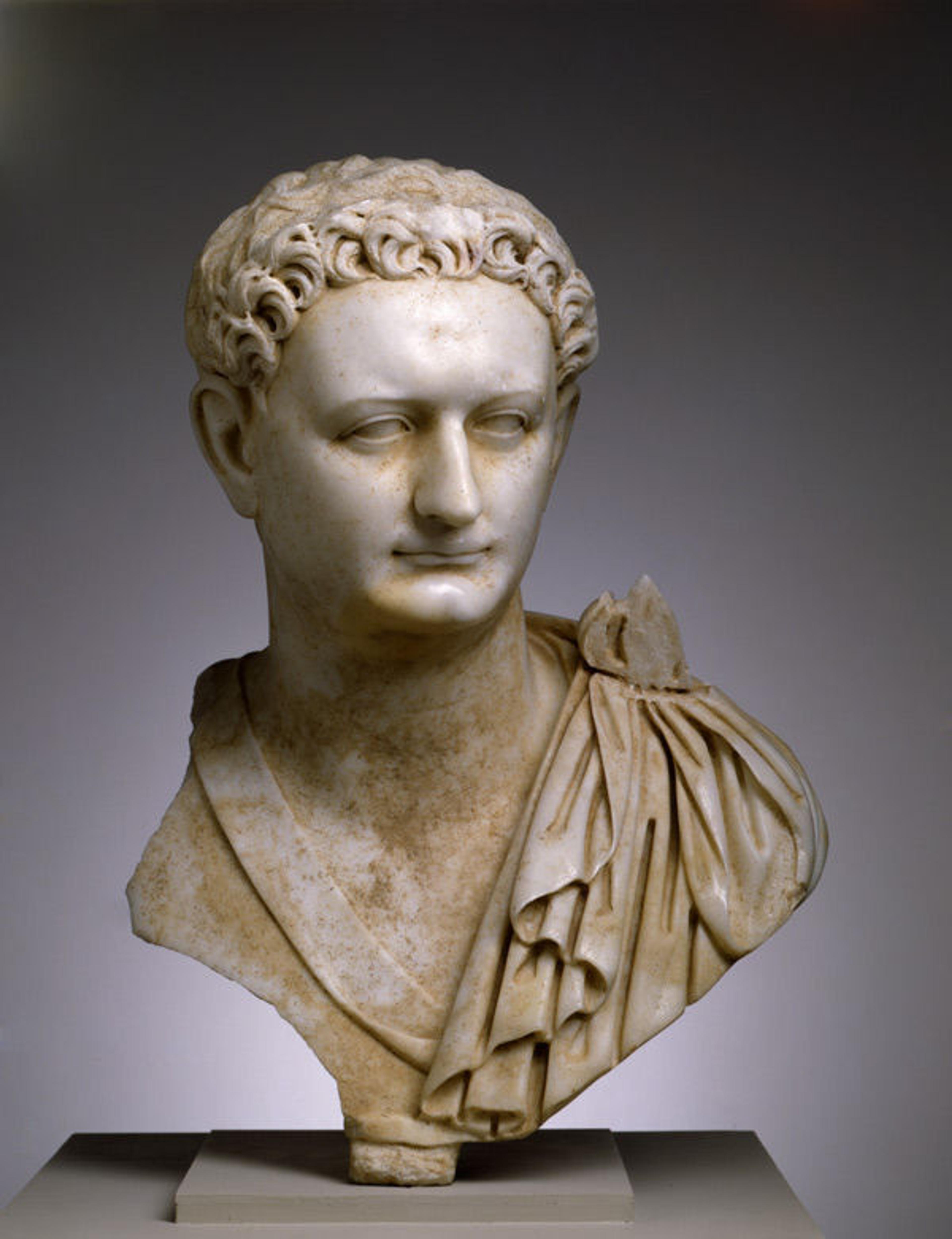 Portrait bust of Emperor Domitian, ca. 90 CE. Ancient Rome, from Italy. Parian marble; H: 23 7/16 in. (59.5 cm); W: 15 7/8 in. (40.3). The Toledo Museum of Art, Toledo, Ohio (1990.30)