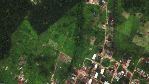 Image for Benin City Earthworks and Urban Planning, Nigeria 