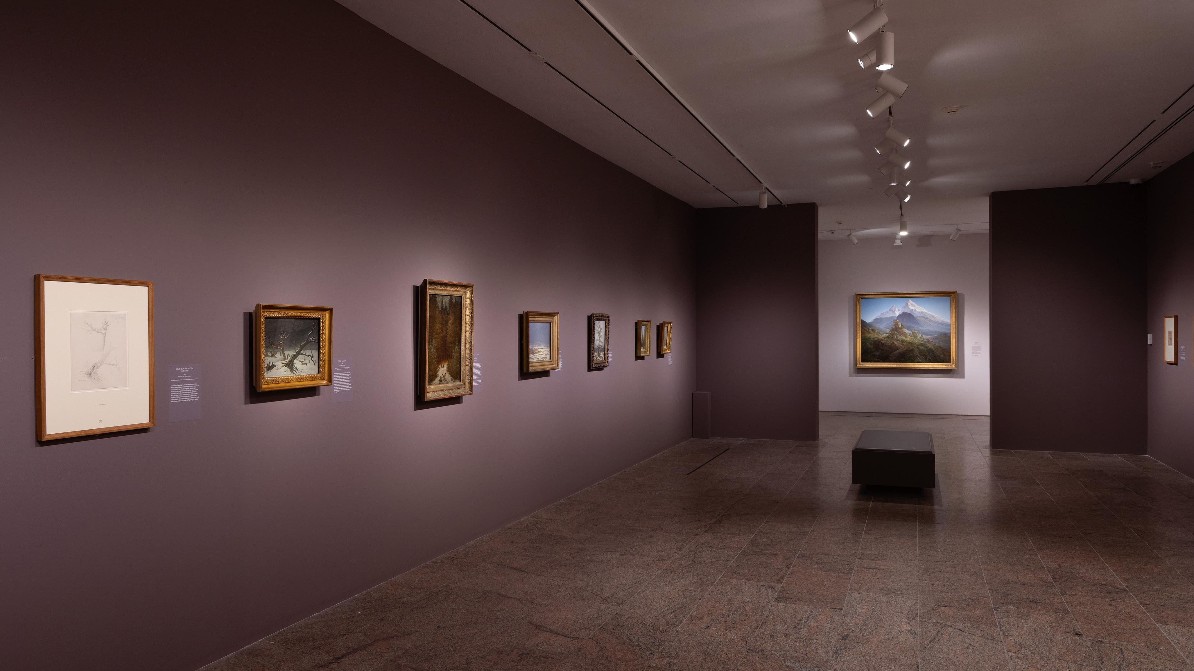 Wall gallery view with paintings hanging on the walls.