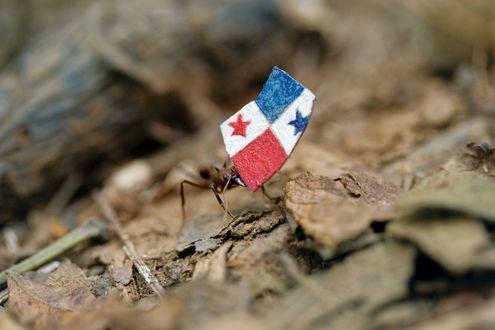 Home Is a Foreign Place