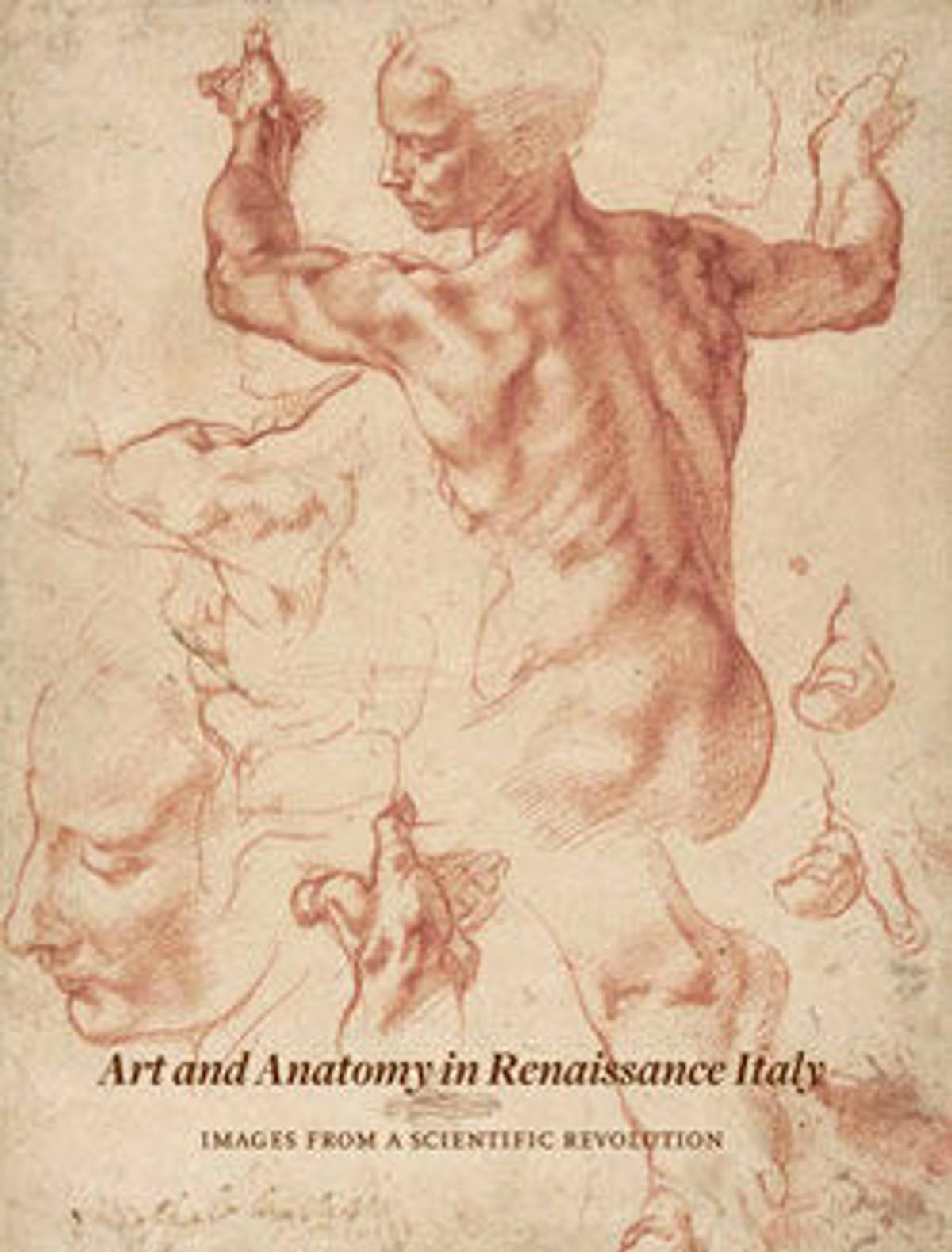 Anatomia Renesans Art and Anatomy in Renaissance Italy: Images from a Scientific ...
