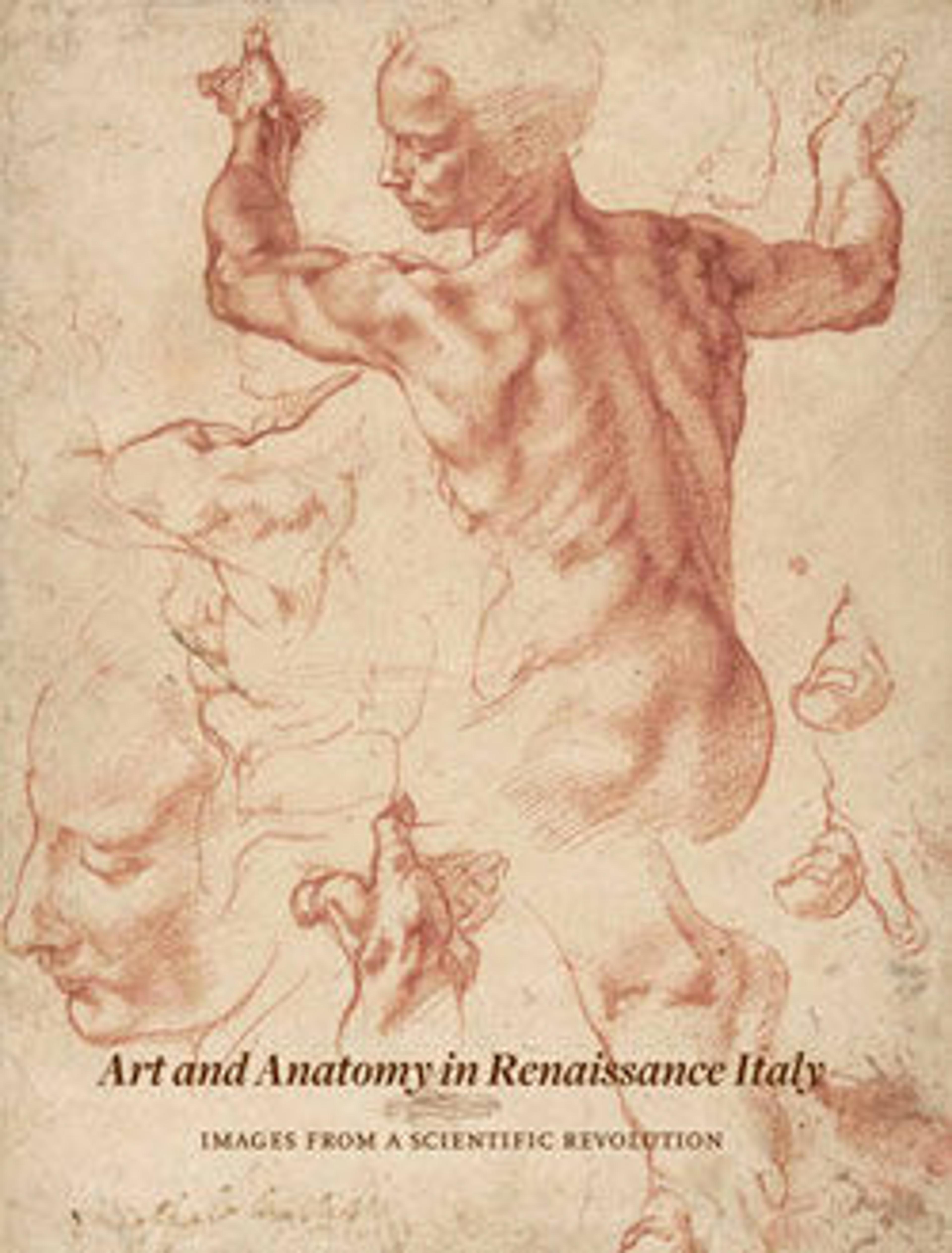 Art and Anatomy in Renaissance Italy: Images from a Scientific Revolution