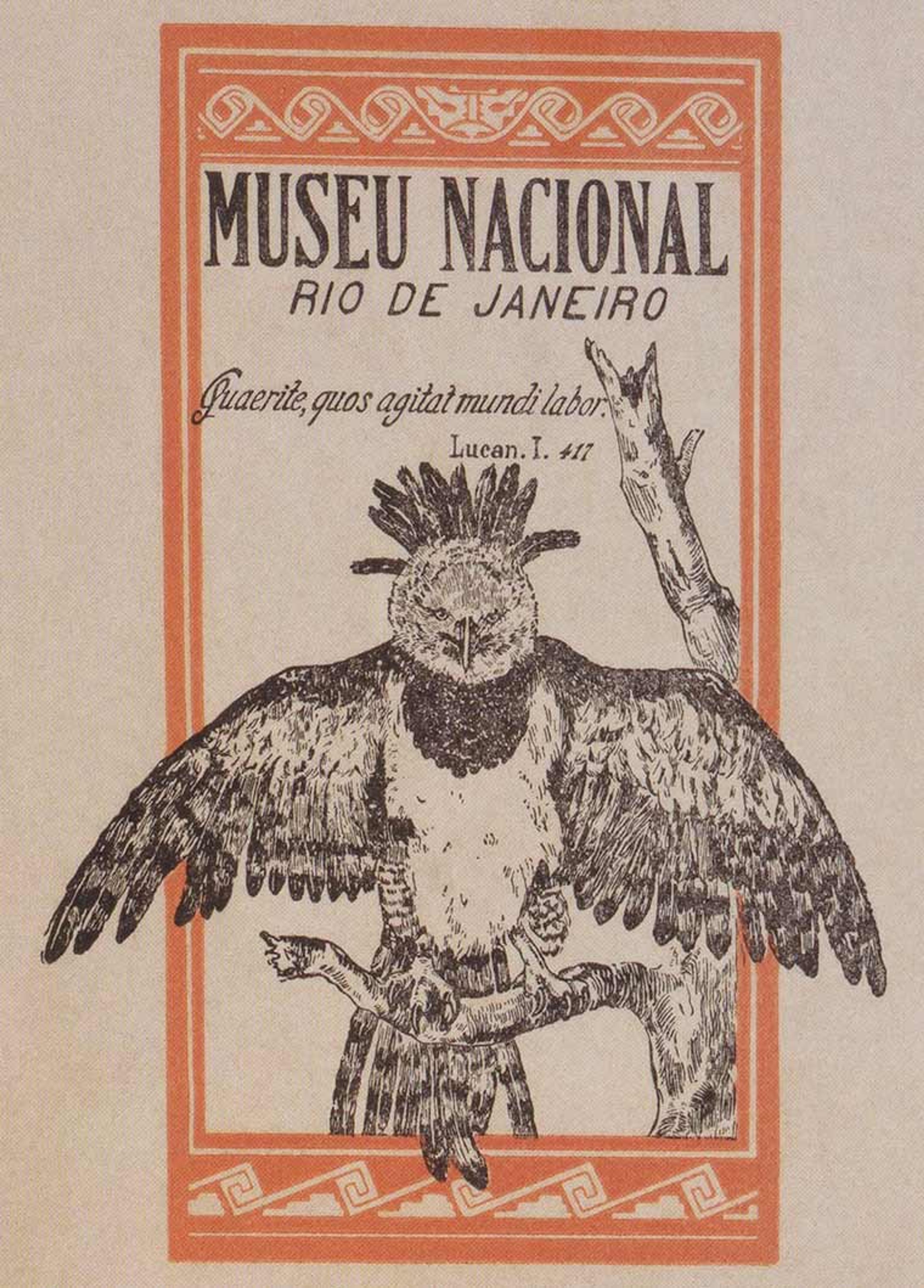 Brasil 7