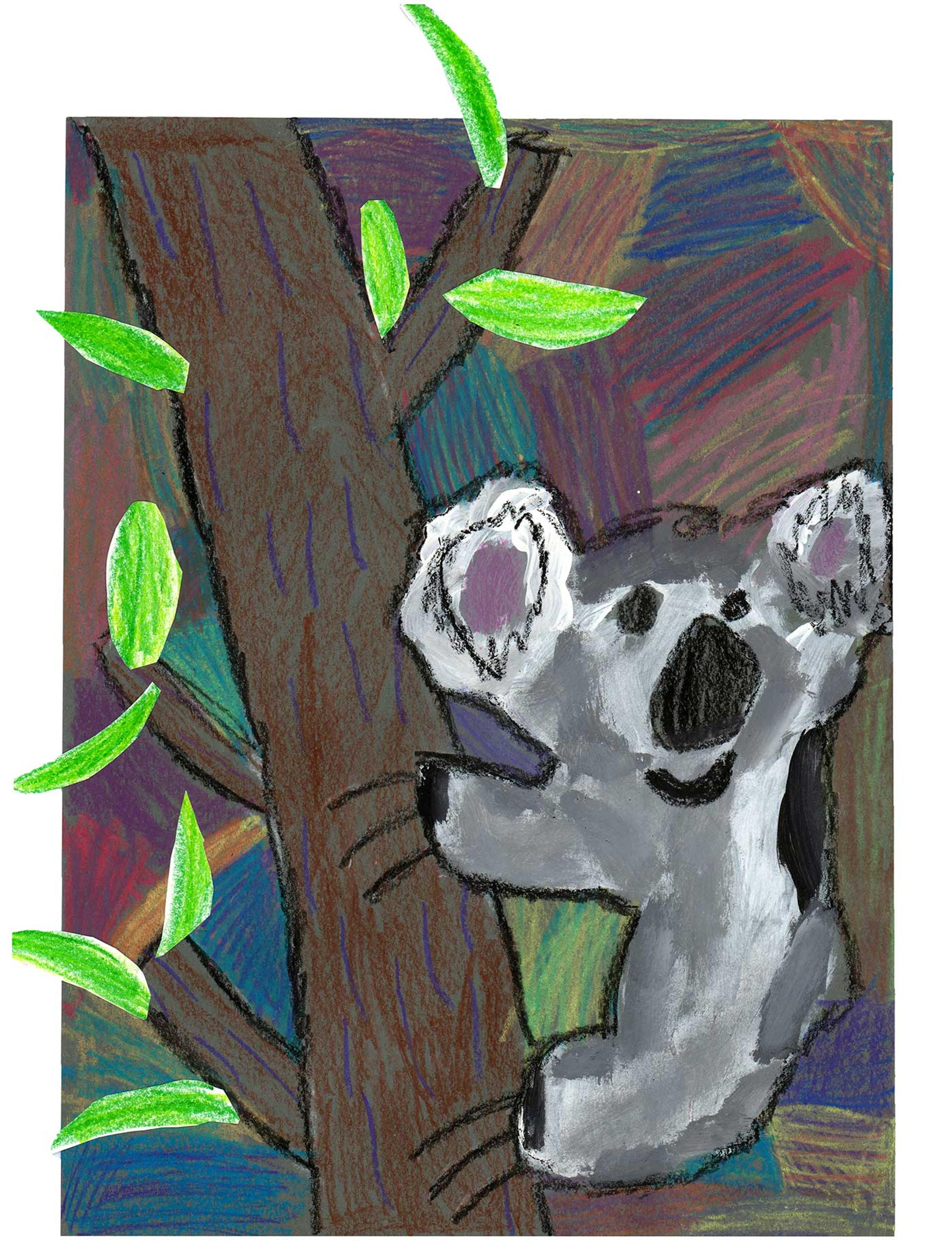 Collage of a koala sitting in a brown tree with green leaves.