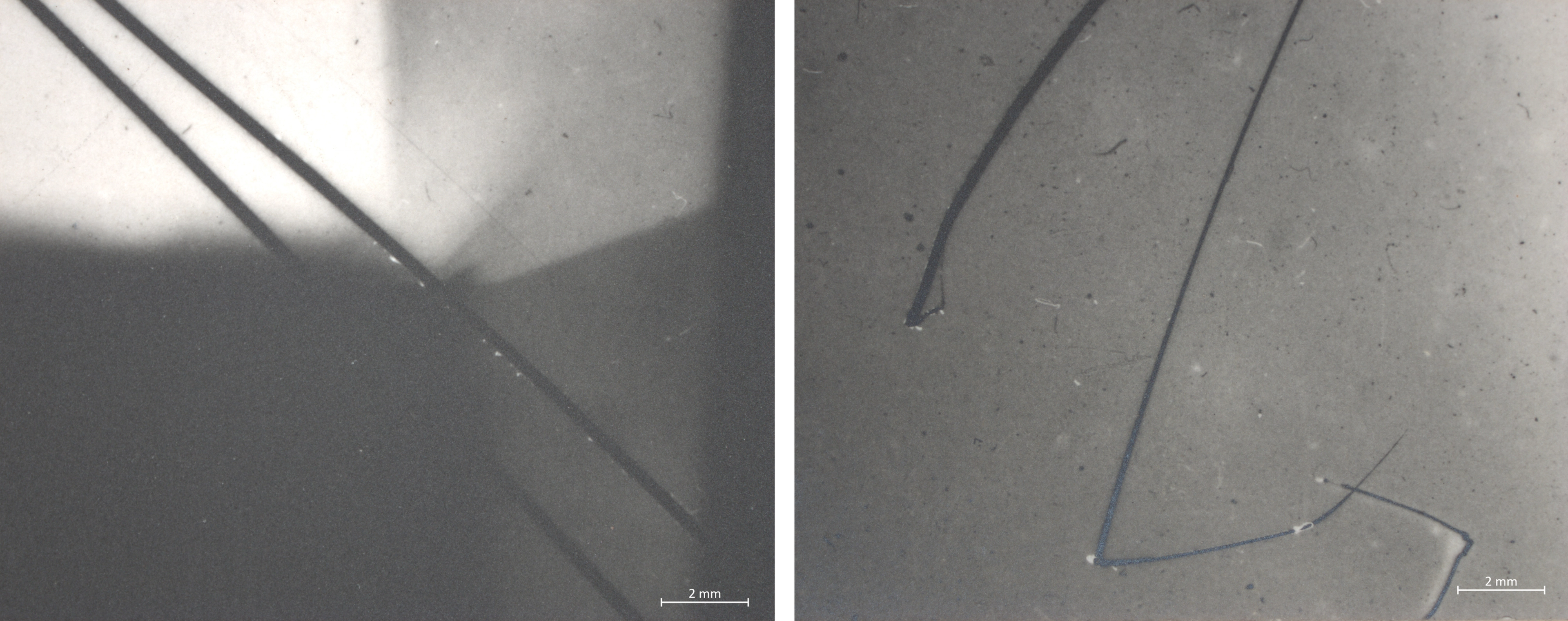 Two abstract black-and-white magnified images of lines.